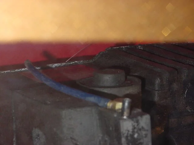 174775125_931859727643923_5282139622211452604_n.jpg