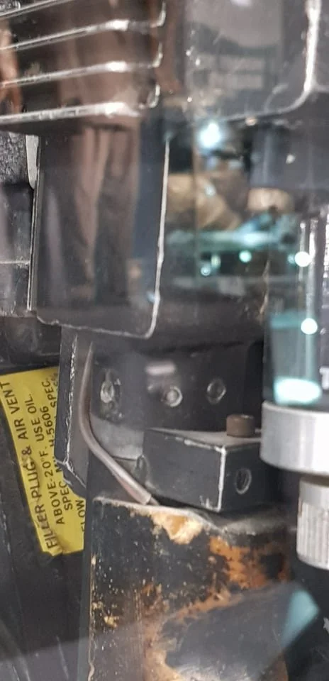 244558488_910531666245619_2377887315326256539_n (1).jpg