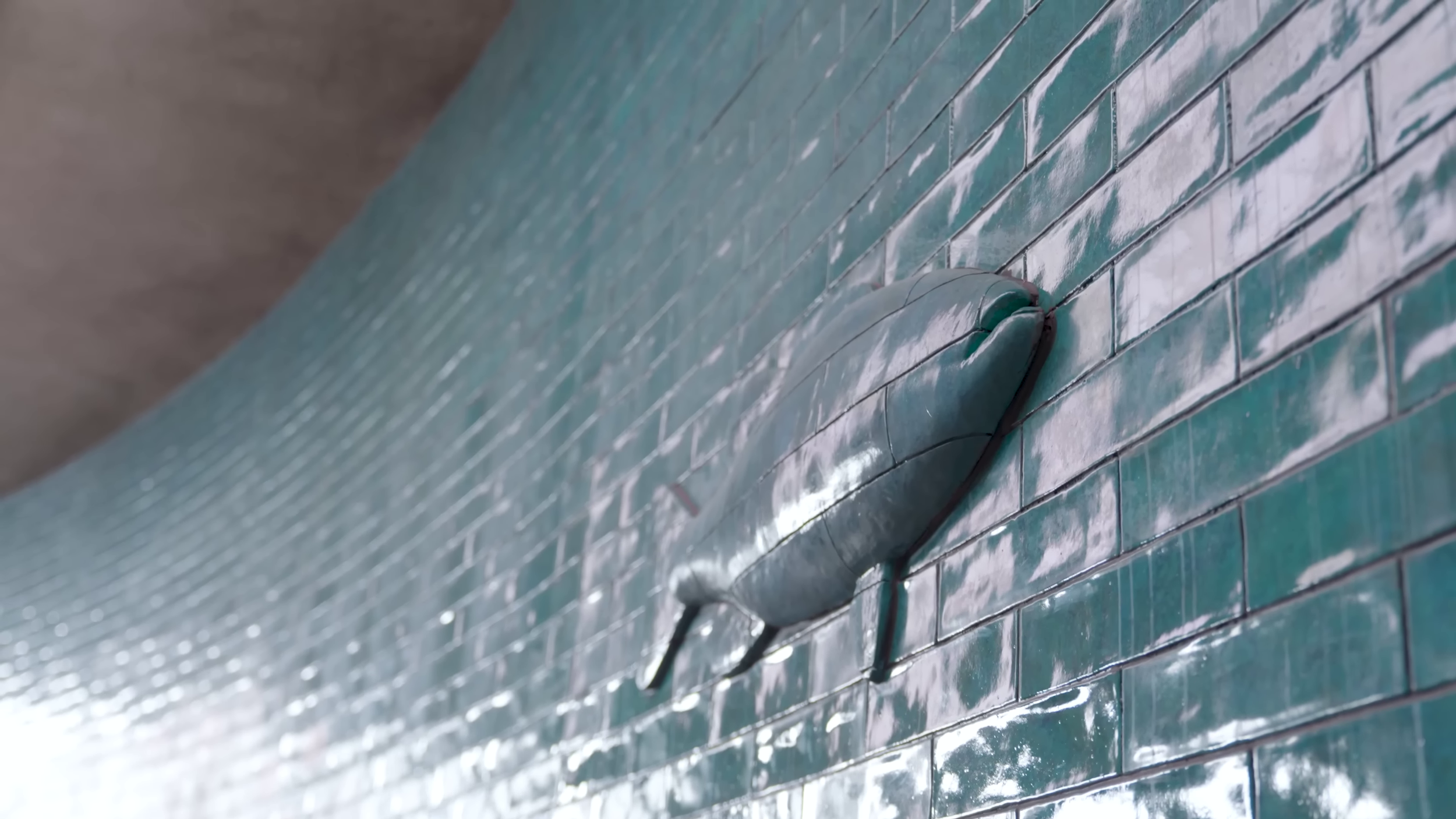 vlcsnap-2024-03-26-14h34m44s150.png