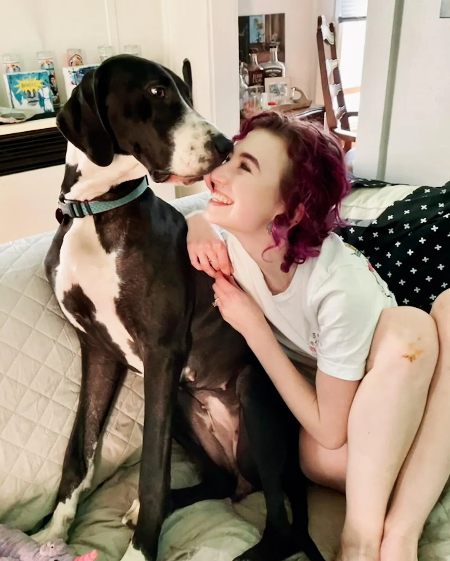 💋all the kisses for mom 💋
-
-
-
#greatdane #greatdanesofinstagram #rescue #rescuedismyfavoritebreed