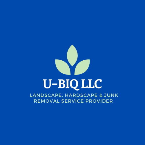 U-BIQ