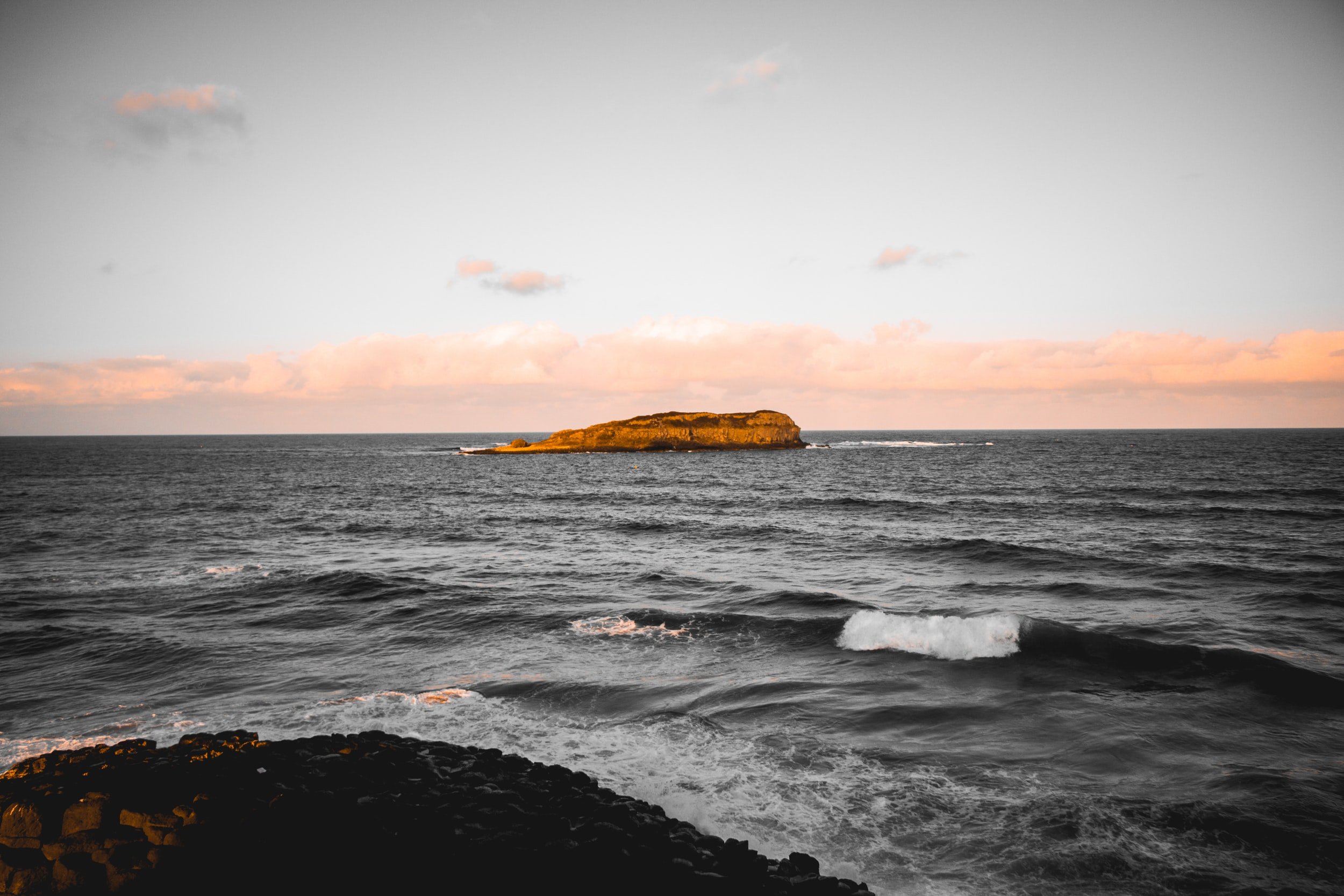 unsplash-image-puojY_a3RM4.jpg