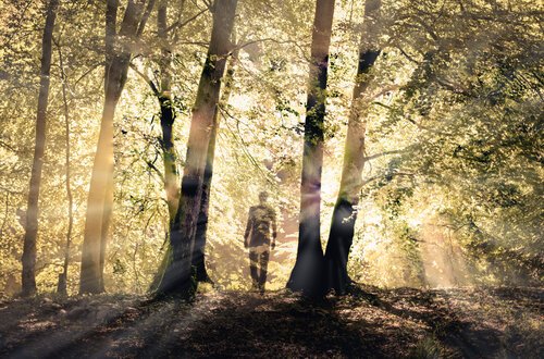 The Growth Tree