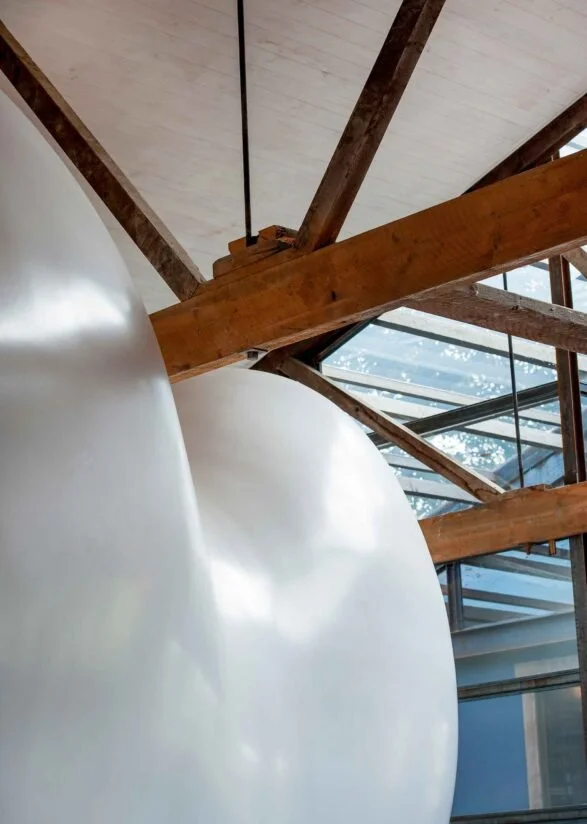 Kelly Ross Design Interior detail of fibreglass capsule in exposed rafters