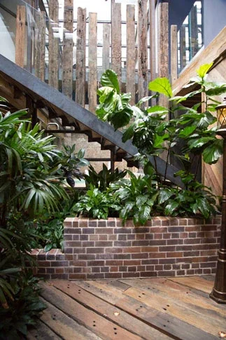 Warehouse courtyard garden at Herm Inn, Surry Hills