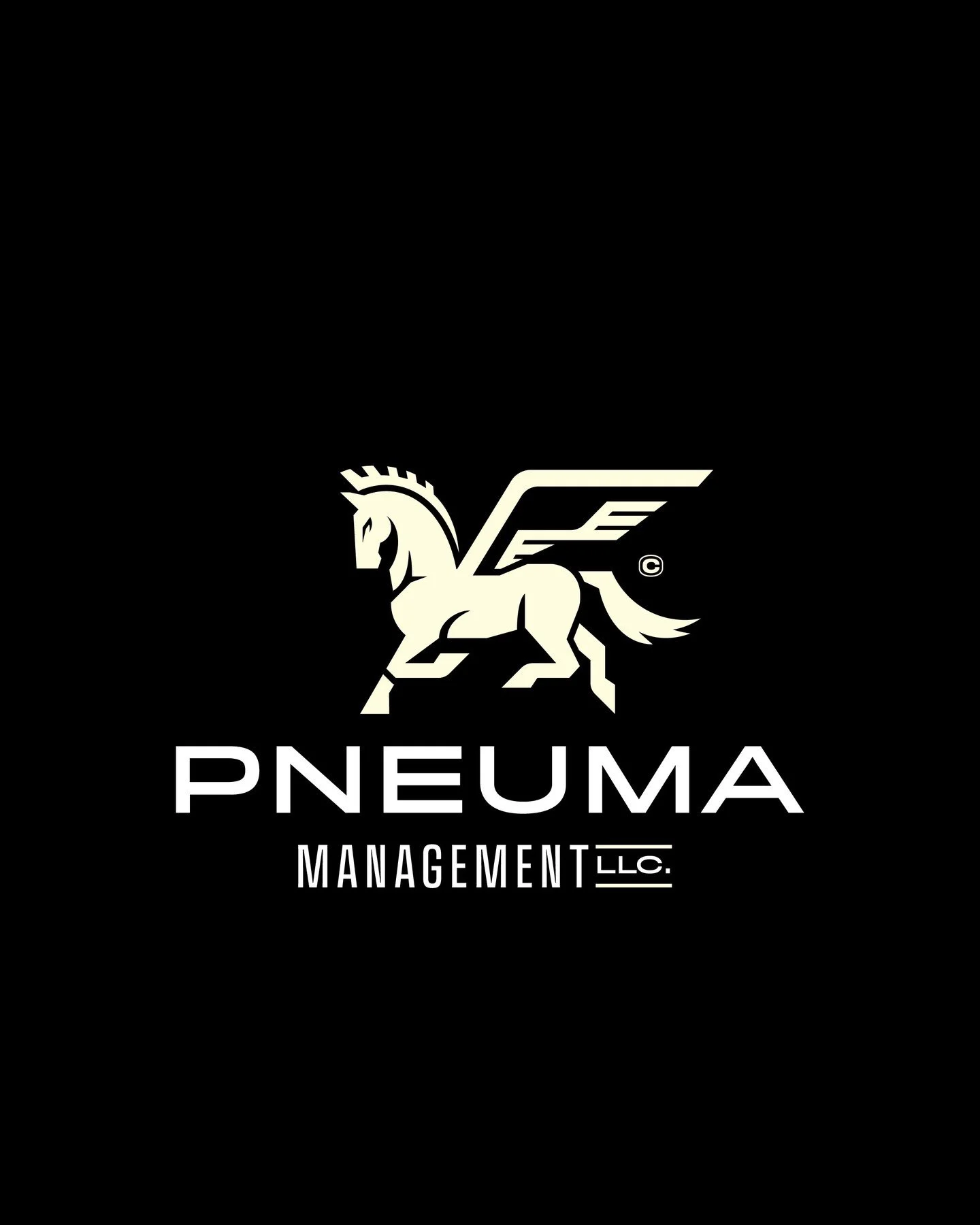 Logo design for Pneuma Management LLC. Pneuma operates as a business consultant group that helps recruit talent.