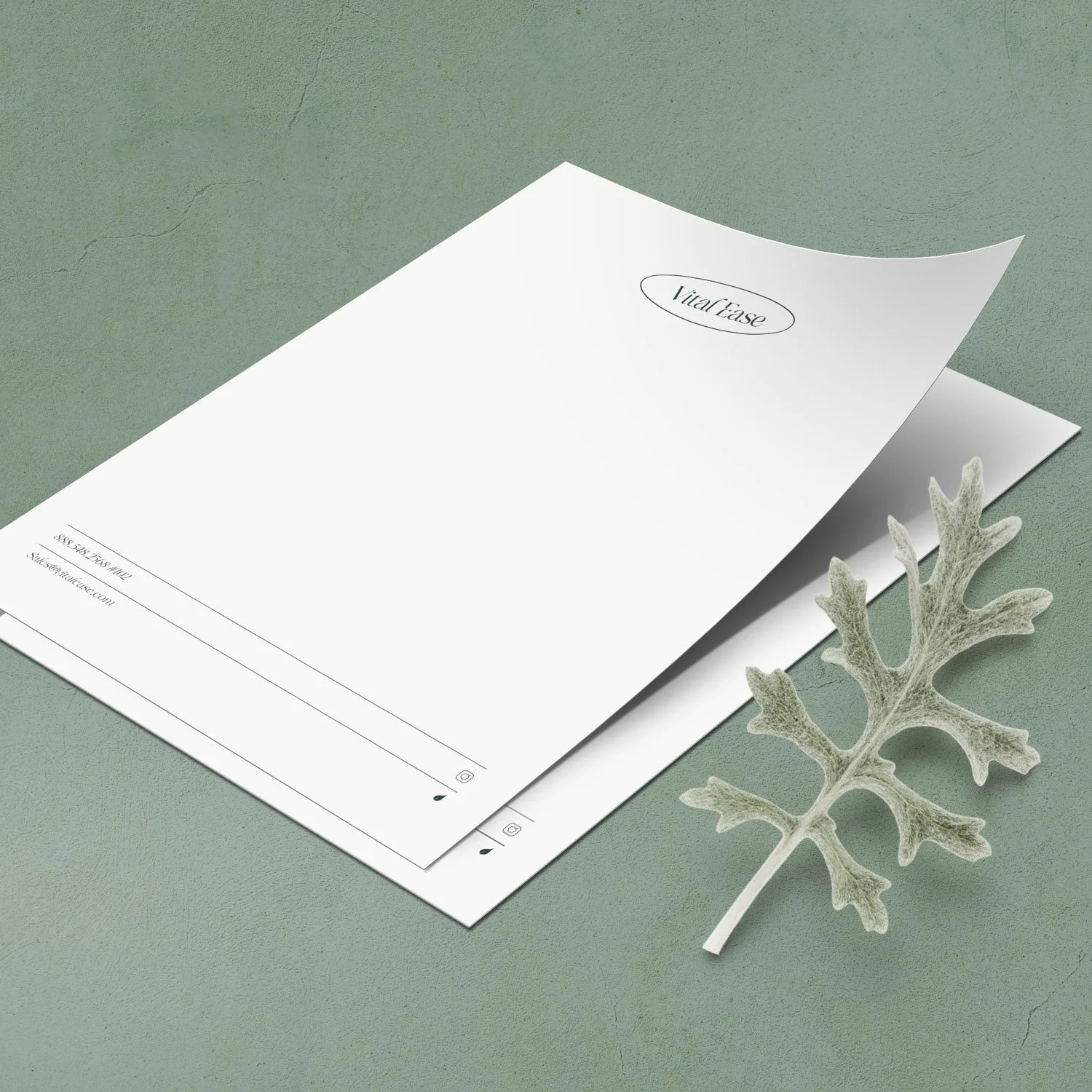 fsdesign website5.jpg