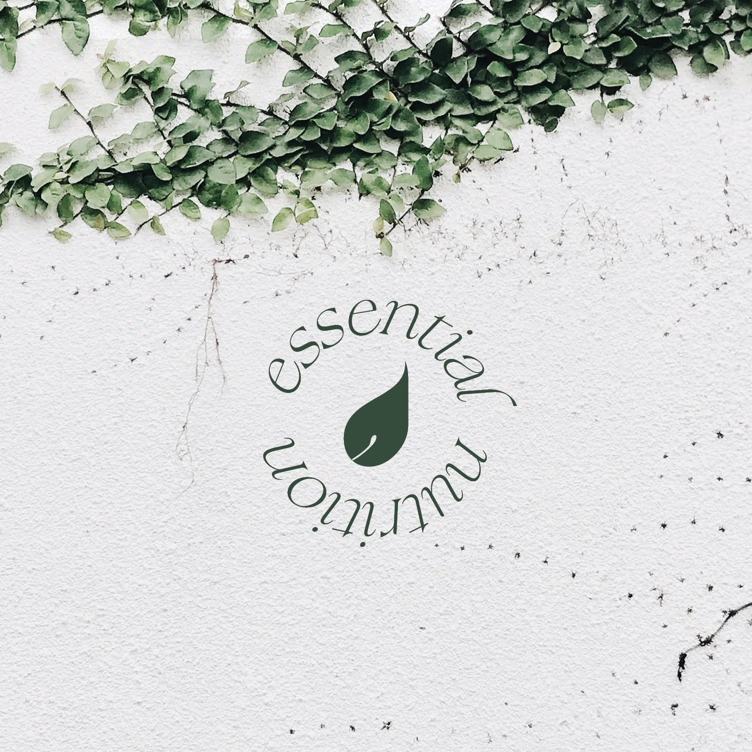 fsdesign website2.jpg