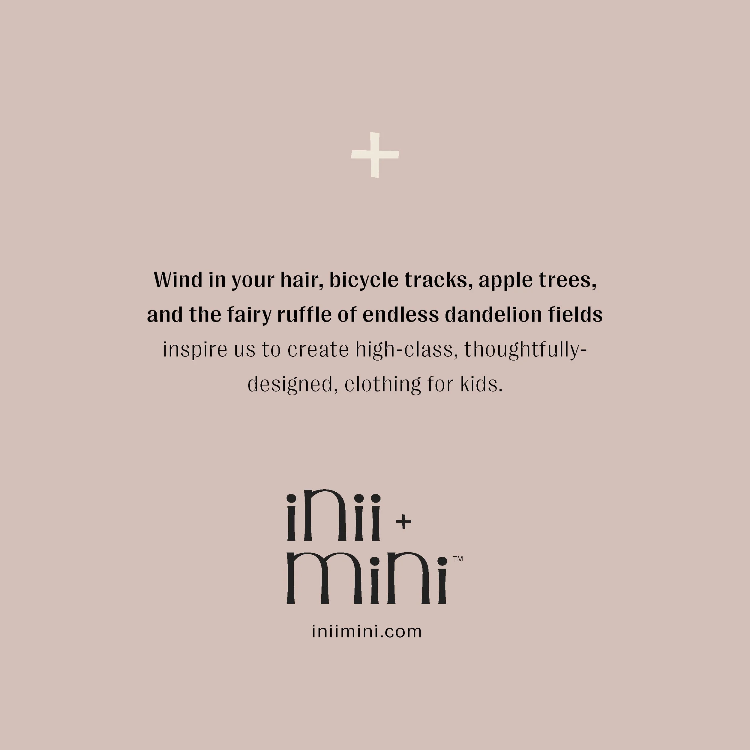 inii mini website posts6.jpg