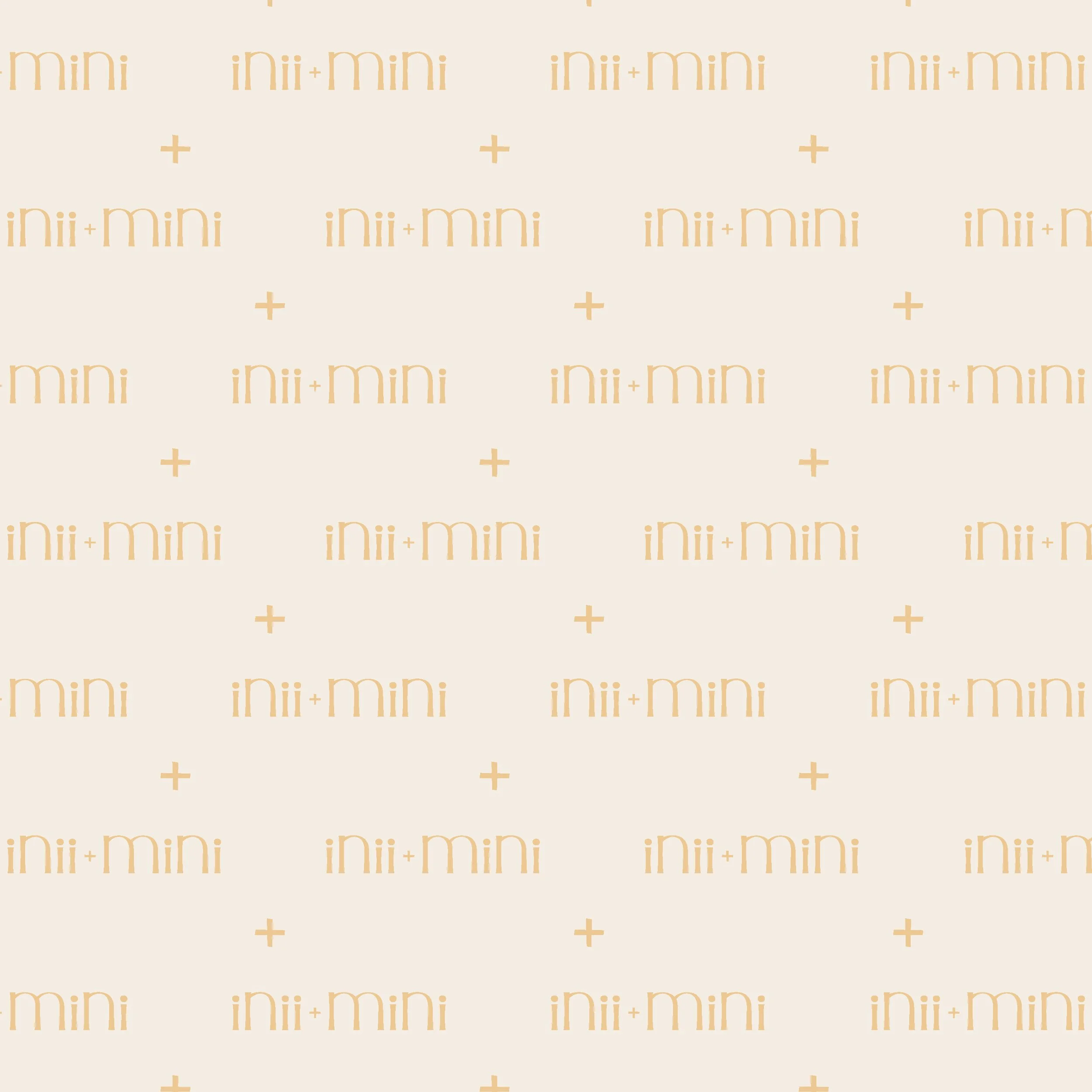 inii mini website posts5.jpg