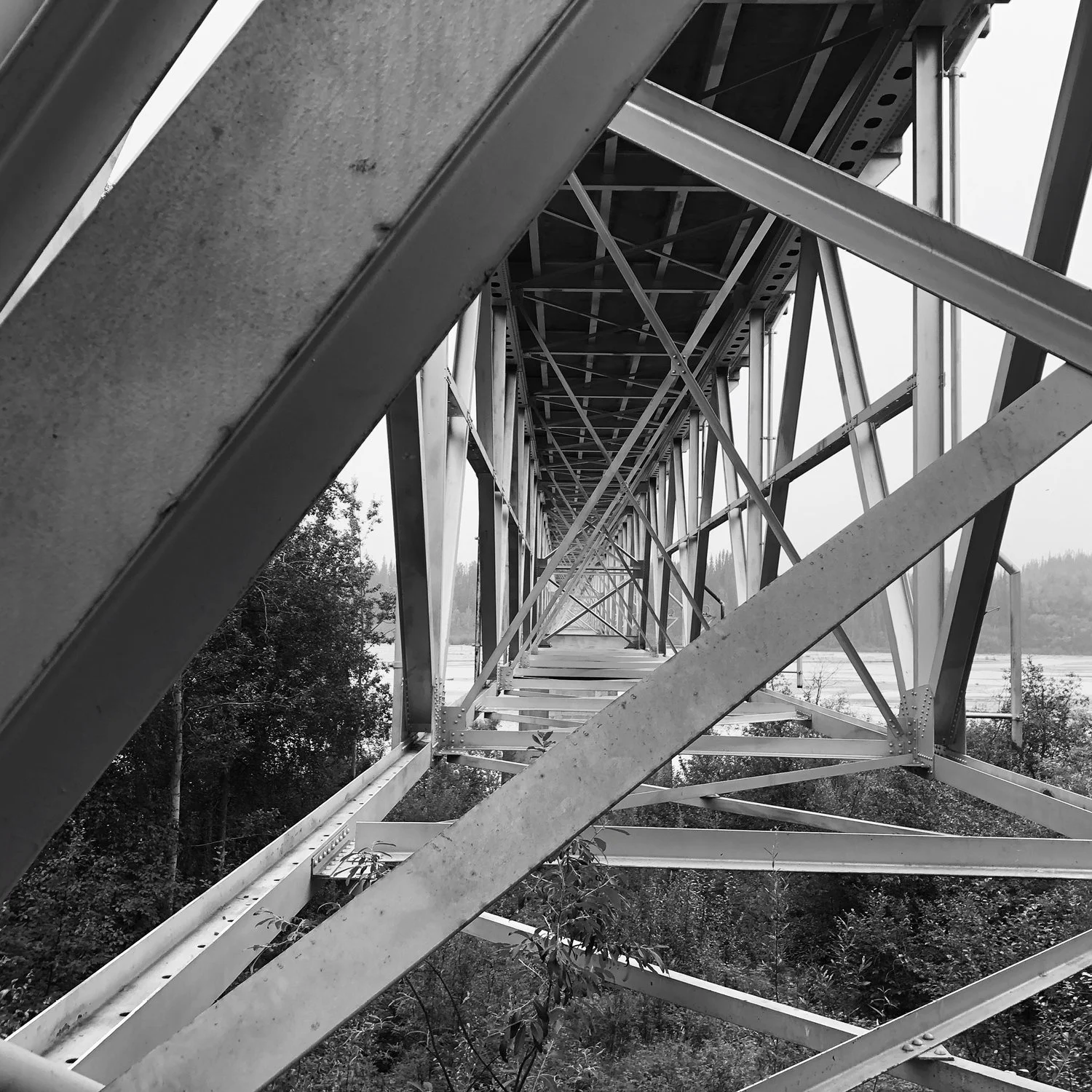 Trusst web posts14.jpg