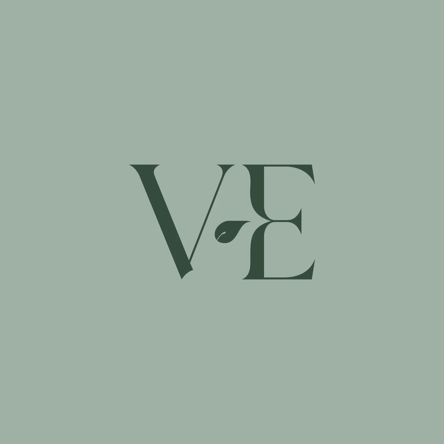 fsdesign website3.jpg