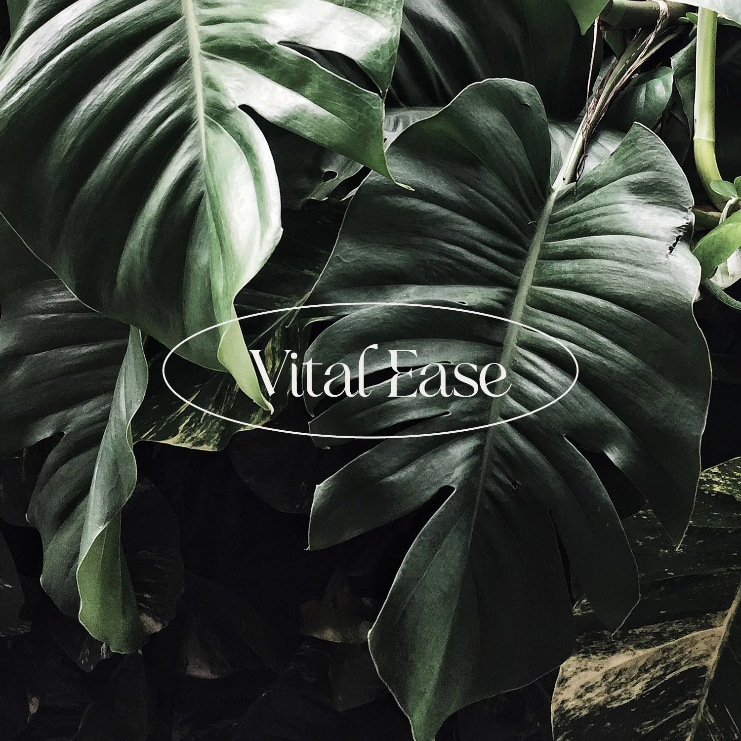 fsdesign website 3.jpg