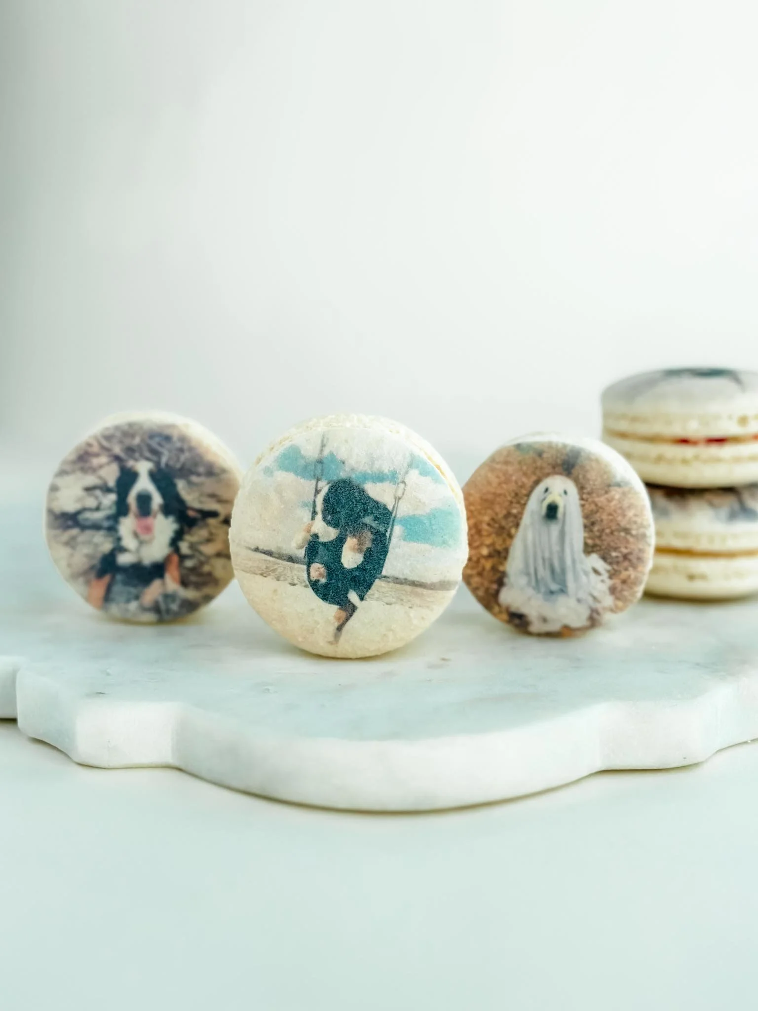 A Worthy Cookie pet macarons in bulk.jpg