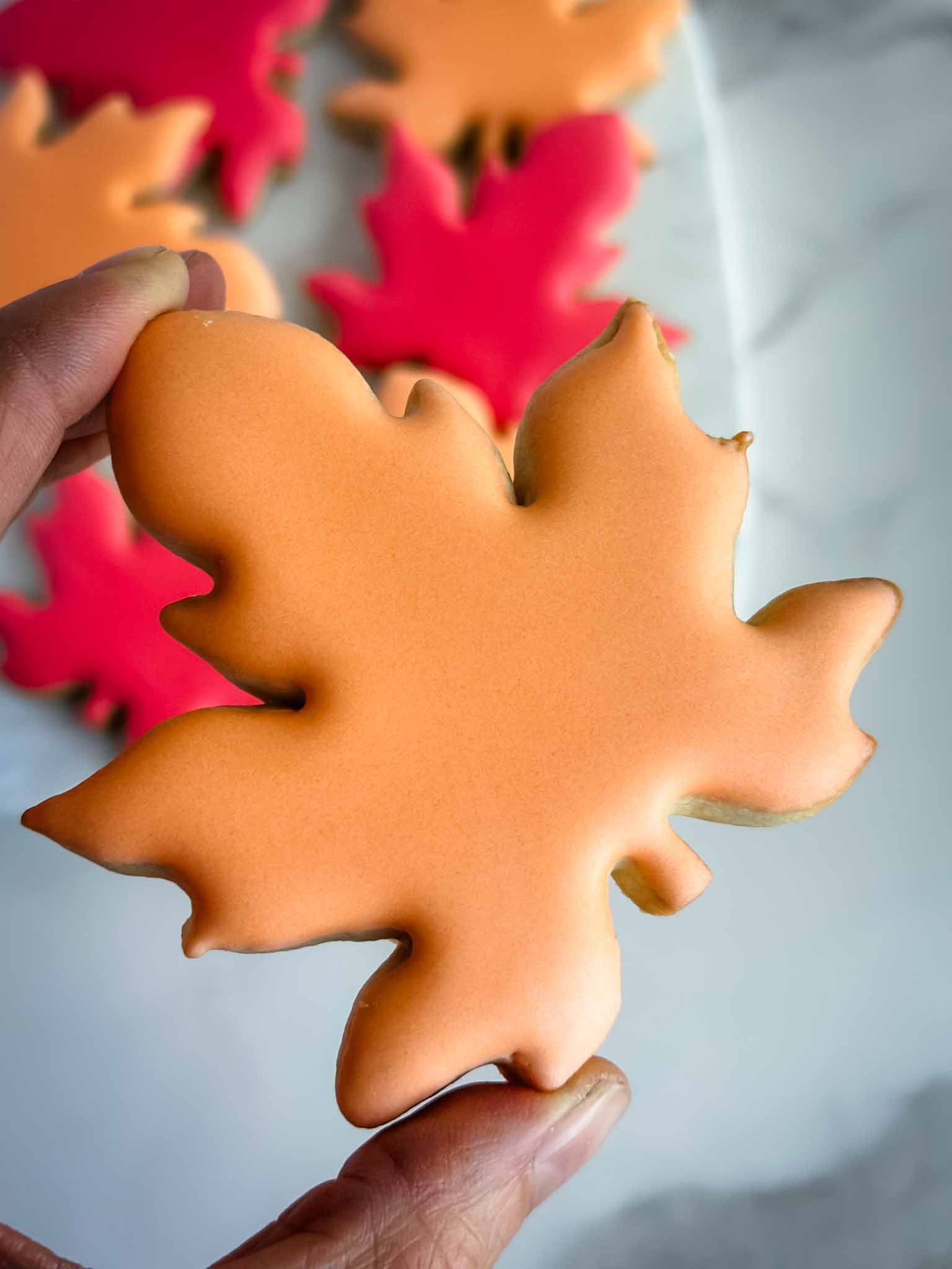A Worthy Cookie Custom Sugar Cookies fall leaves with hand holding an orange leaf.jpg