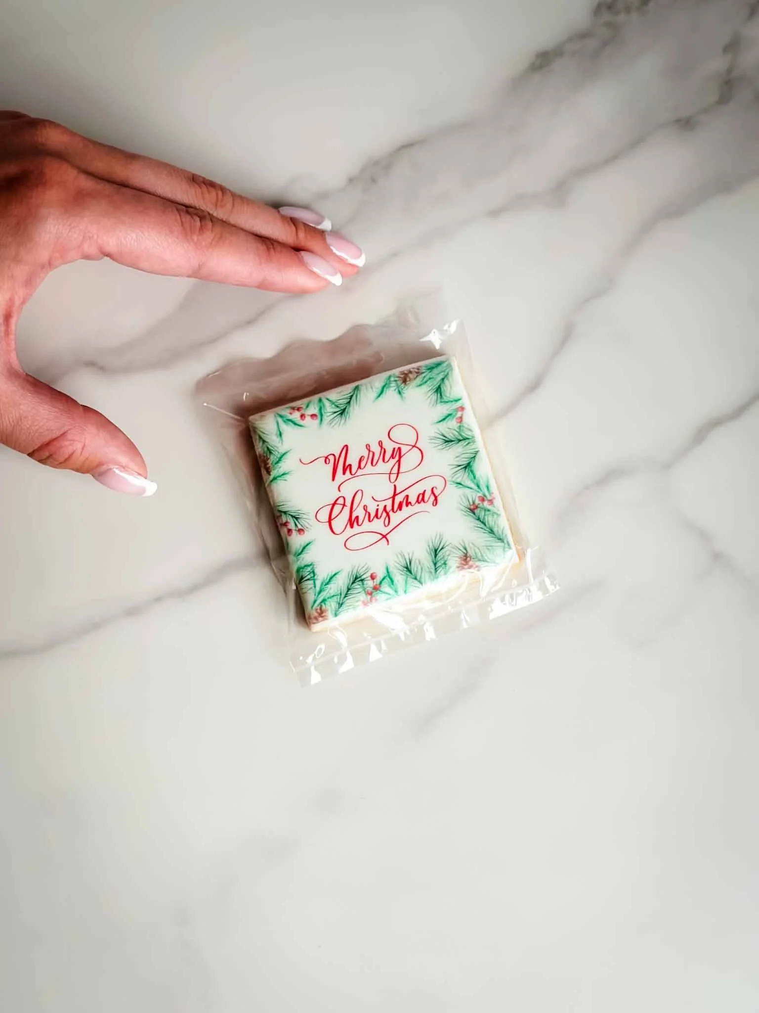 A Worthy Cookie Merry Christmas sugar cookie individually bagged square M.jpg