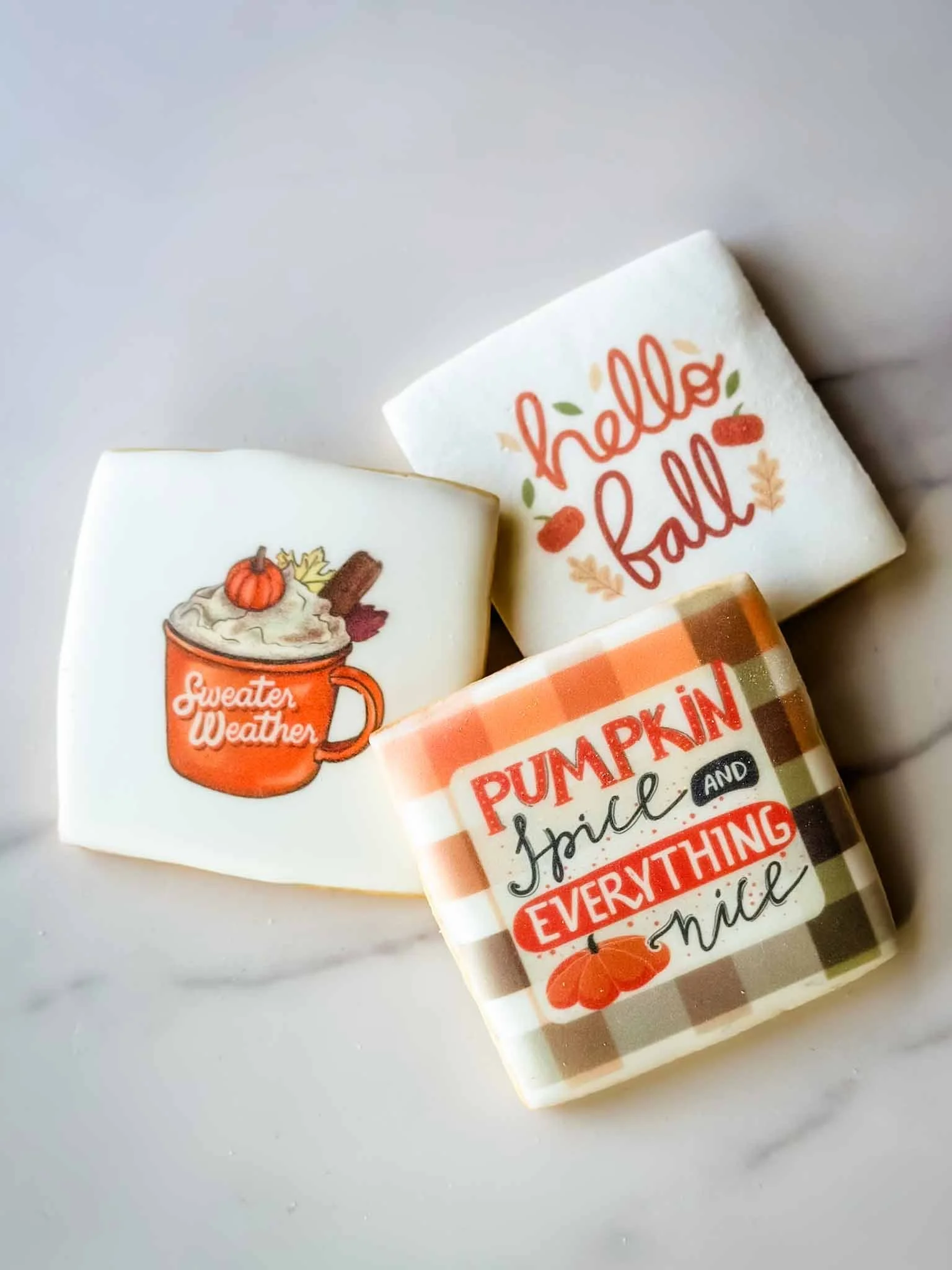 A Worthy Cookie Custom Sugar Cookies fall theme with pumpkin spice designs.jpg