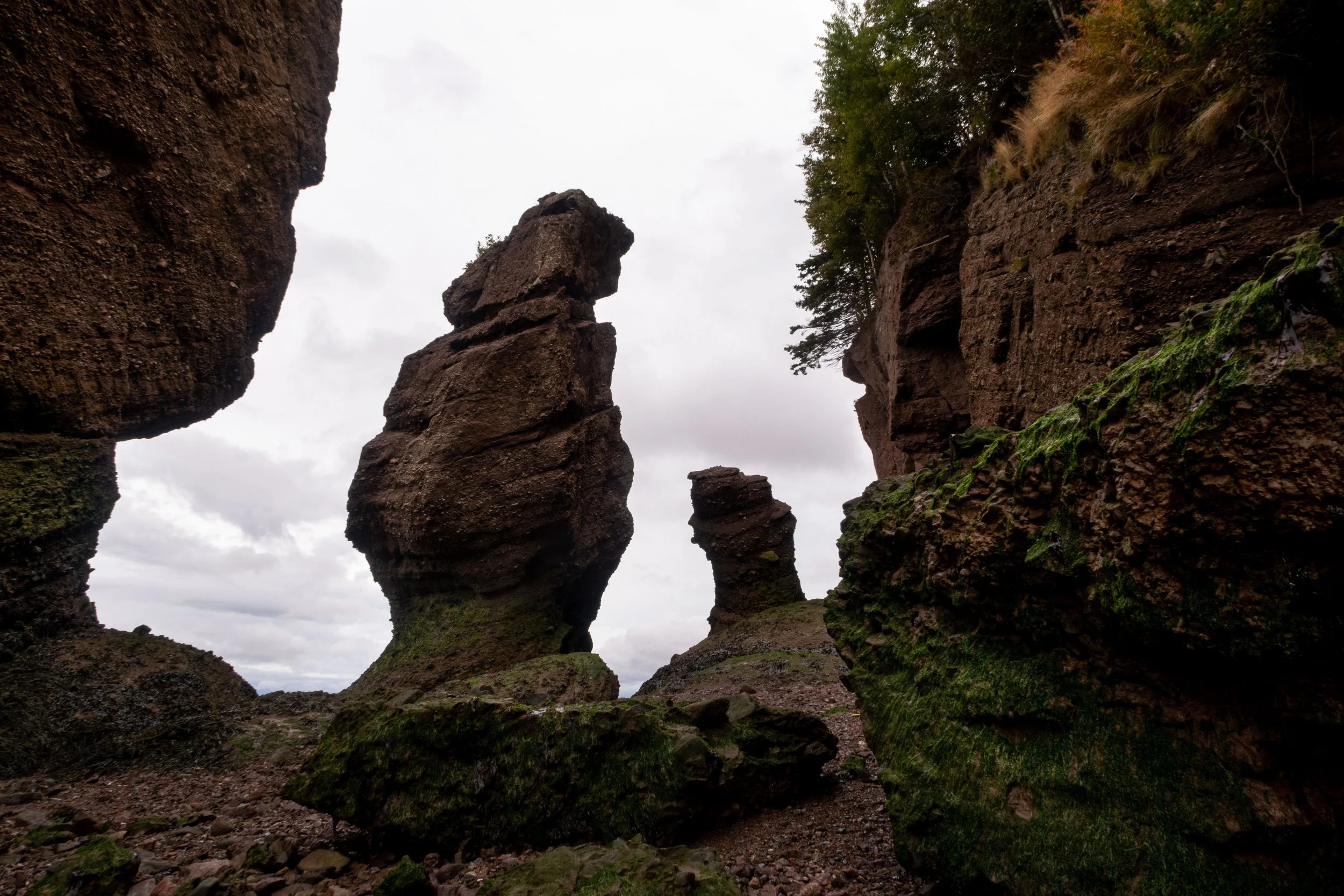 20220923160503124 Hopewell Rocks.jpg