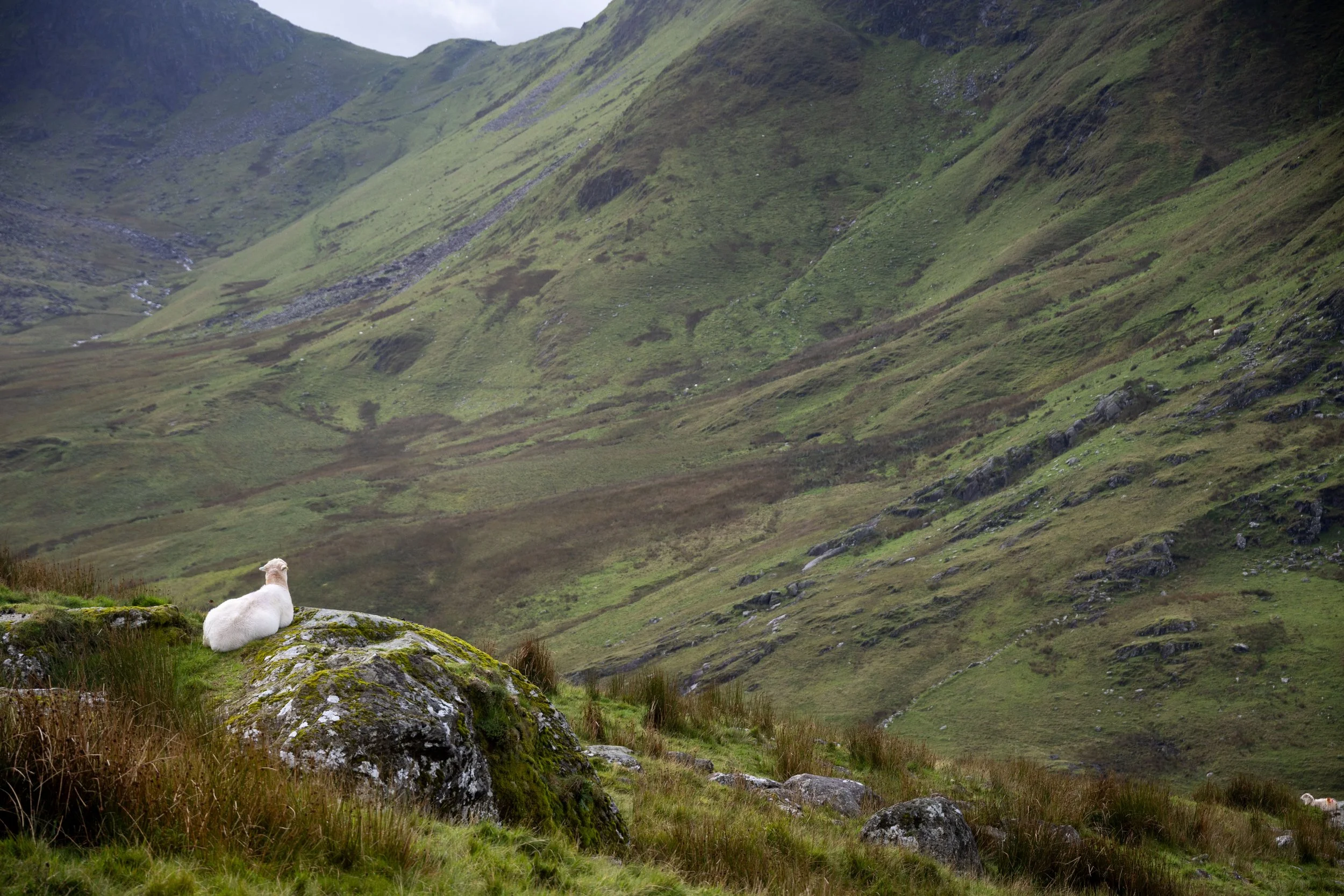 20230914064819328 Mount Snowdon.jpg