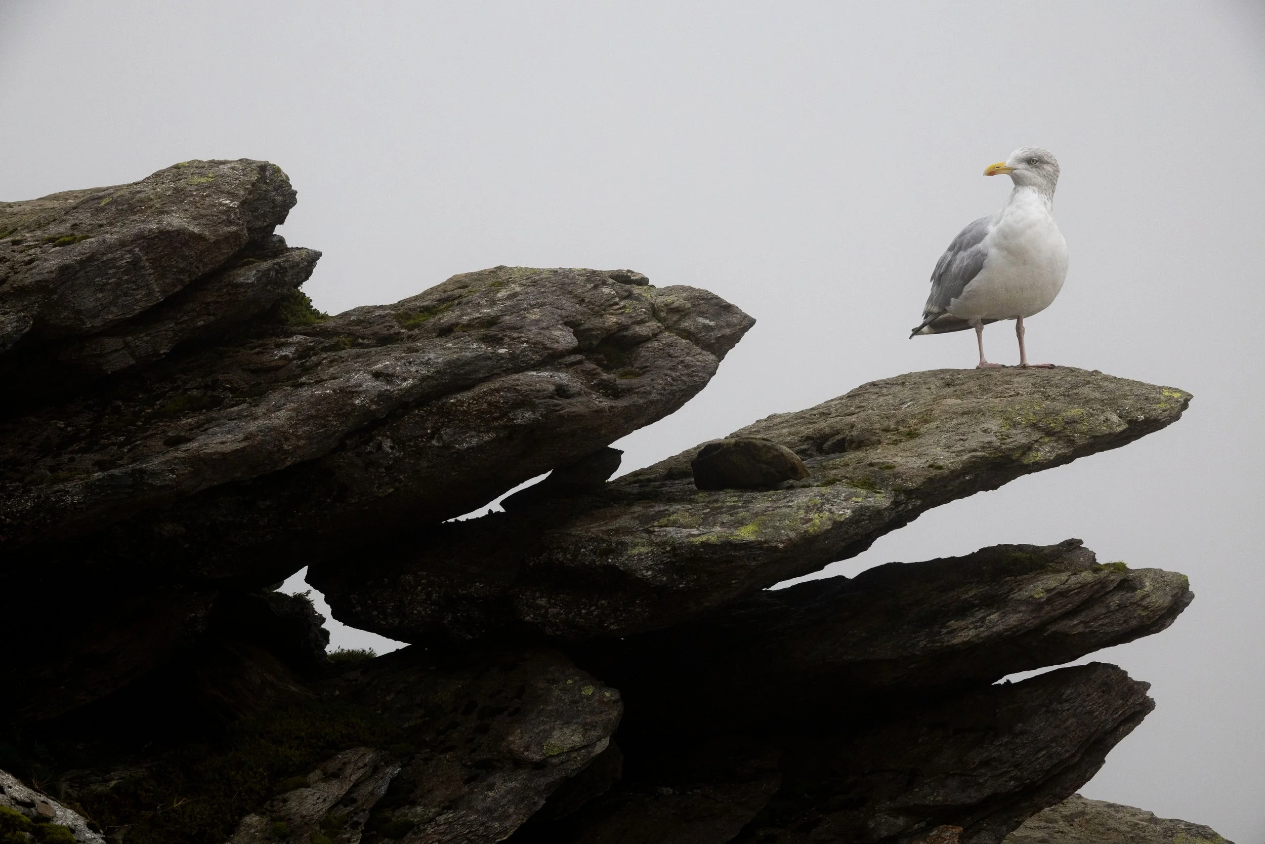 20230914074409786 Mount Snowdon.jpg