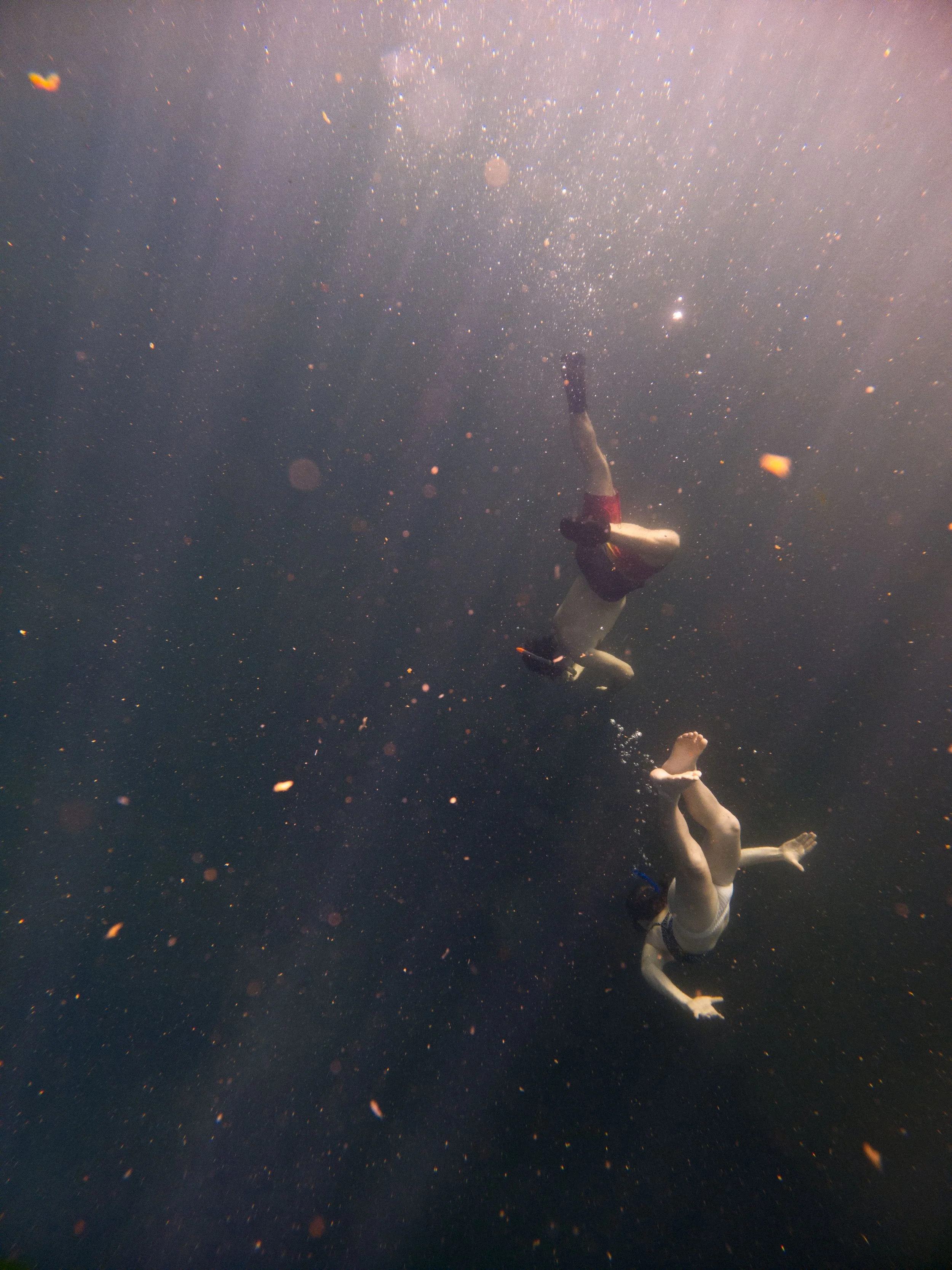 20220307161049112 King Spring.jpg