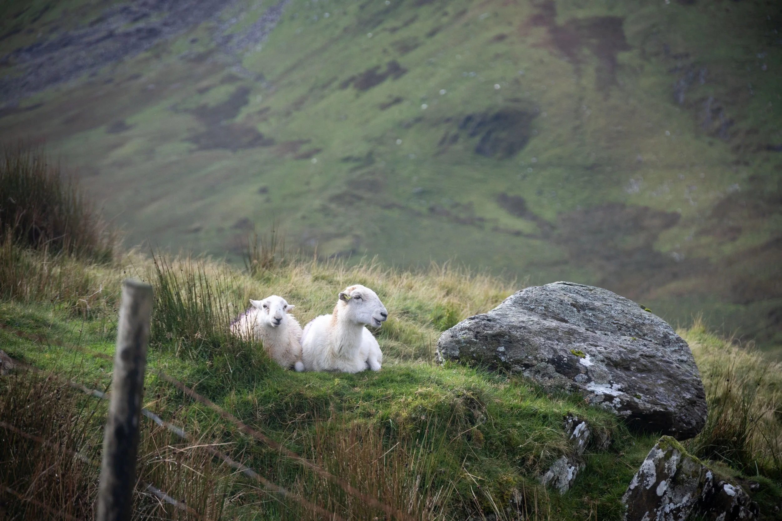 20230914065050359 Mount Snowdon.jpg