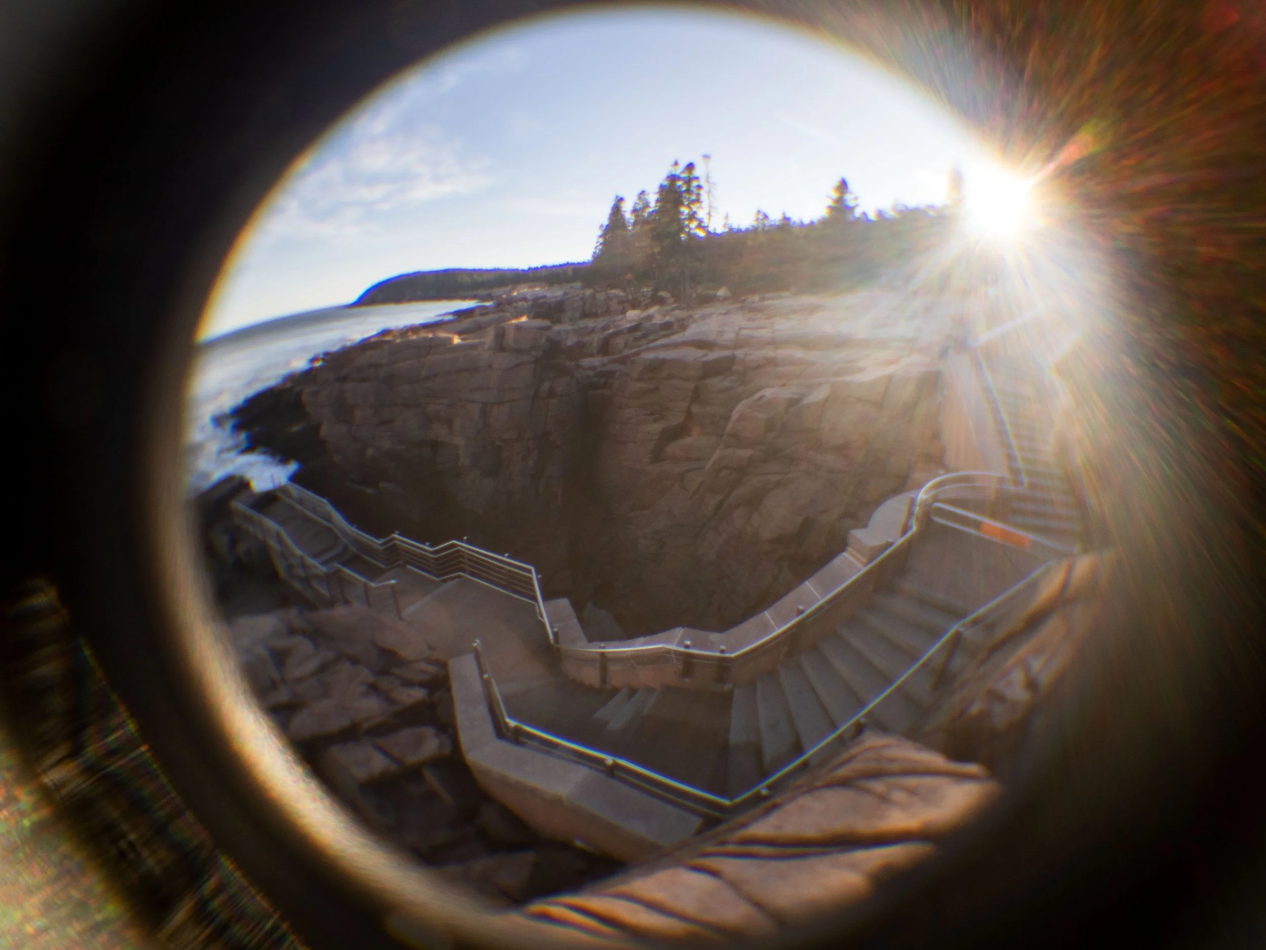 20220924050835039 Acadia.jpg