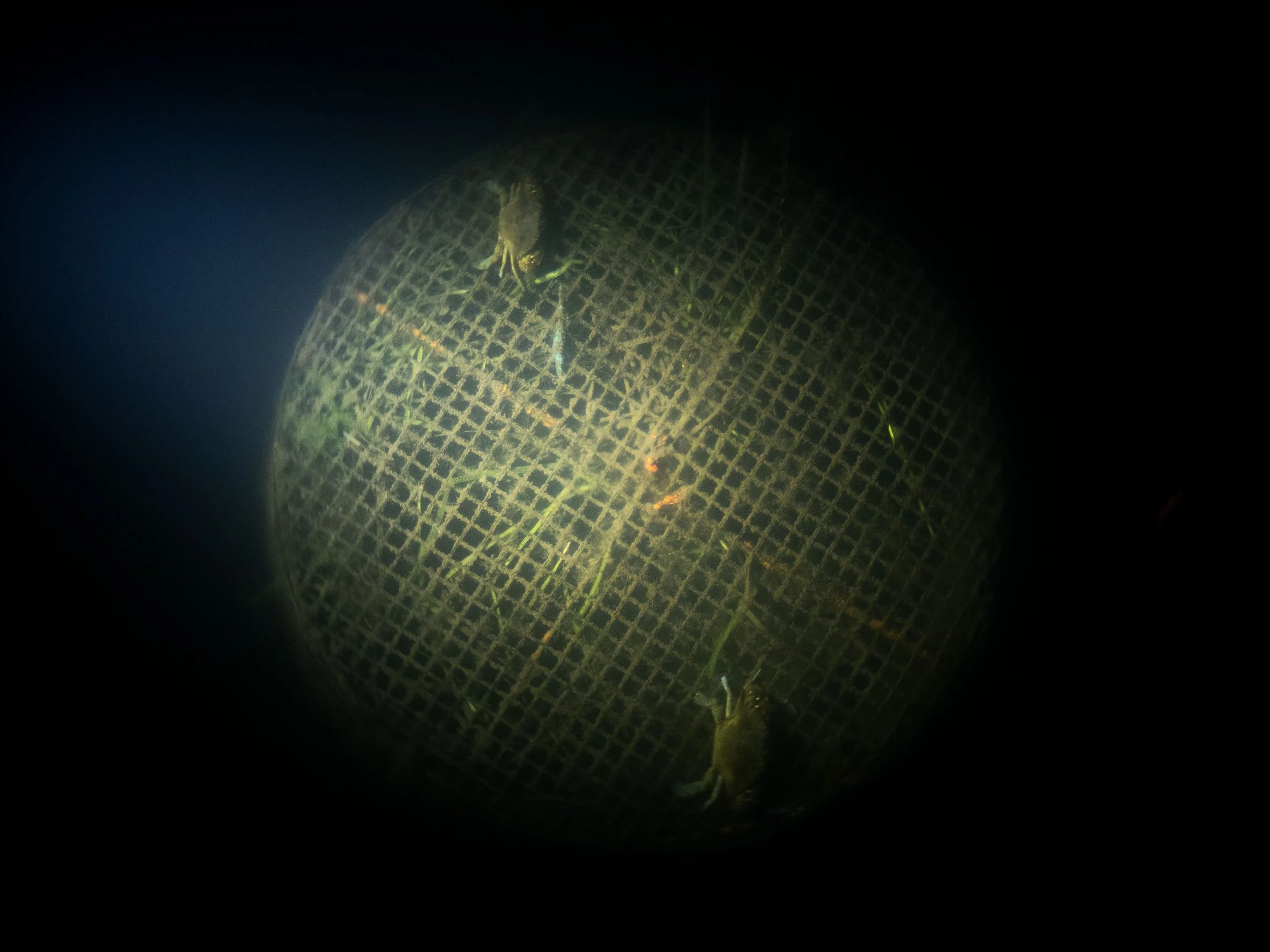 20220306134752110 Port Marina.jpg