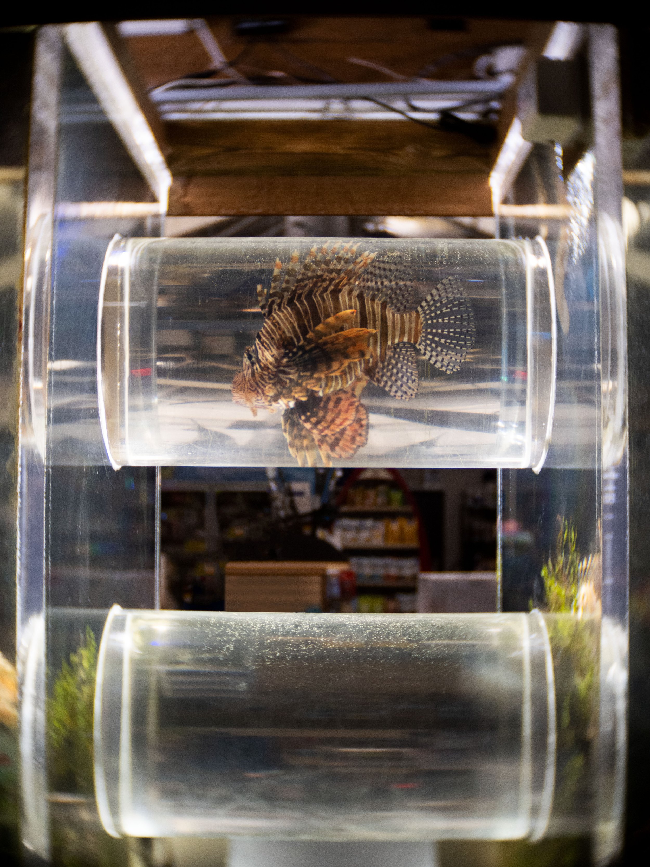 20220719091247055 Port Canaveral.jpg