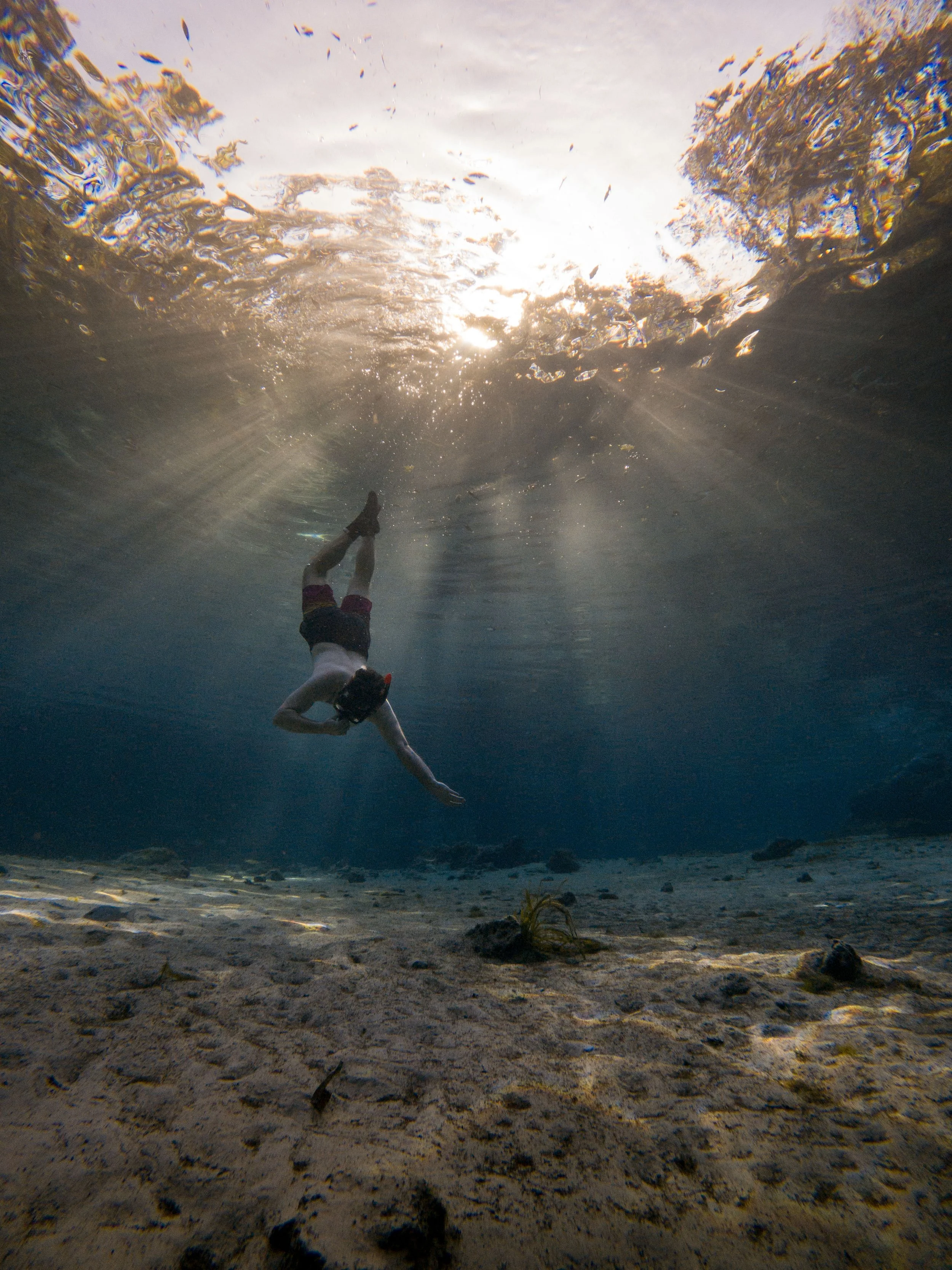 20220307180834317 Three Sisters Spring.jpg