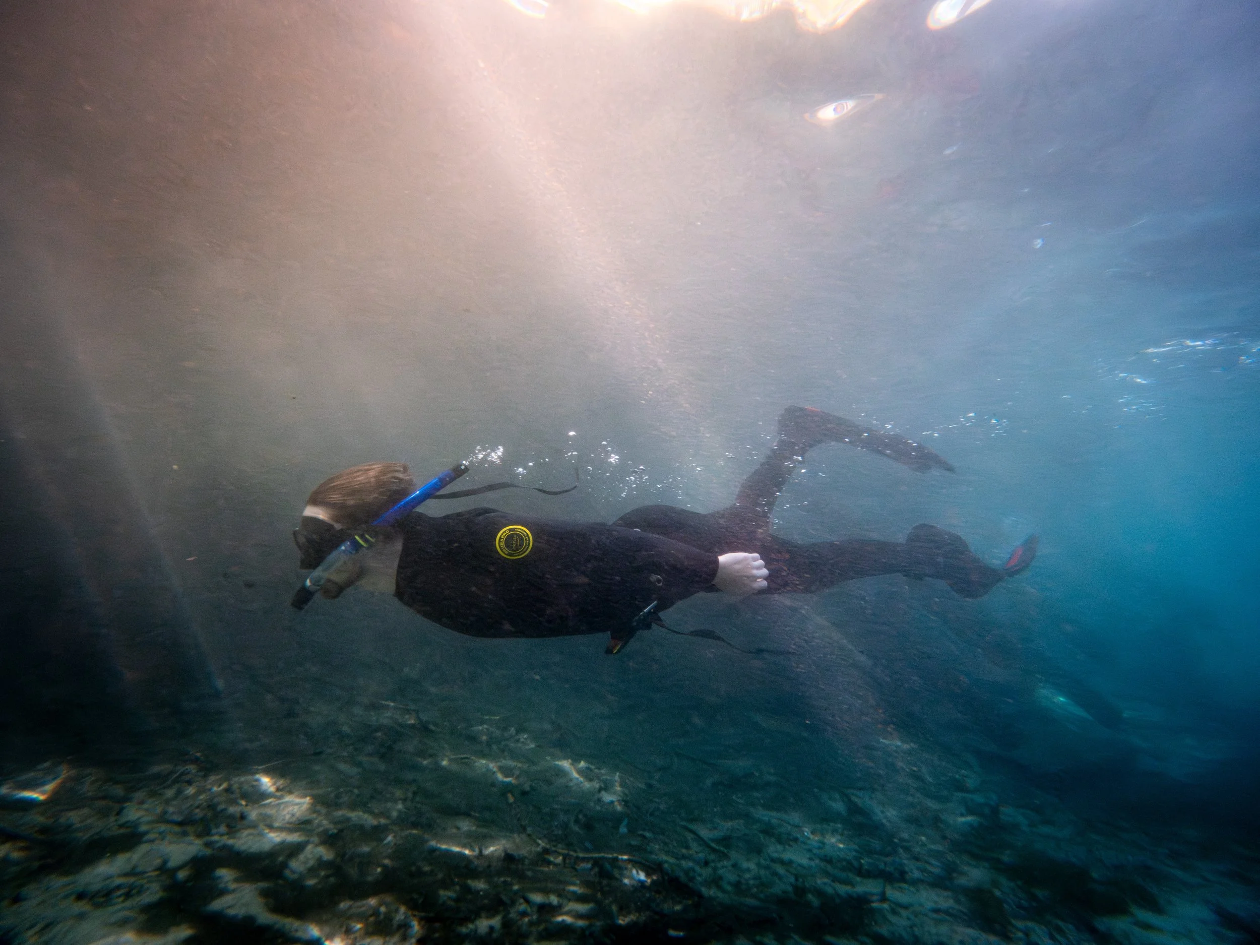 20250422154336082 Devil Spring Run.jpg