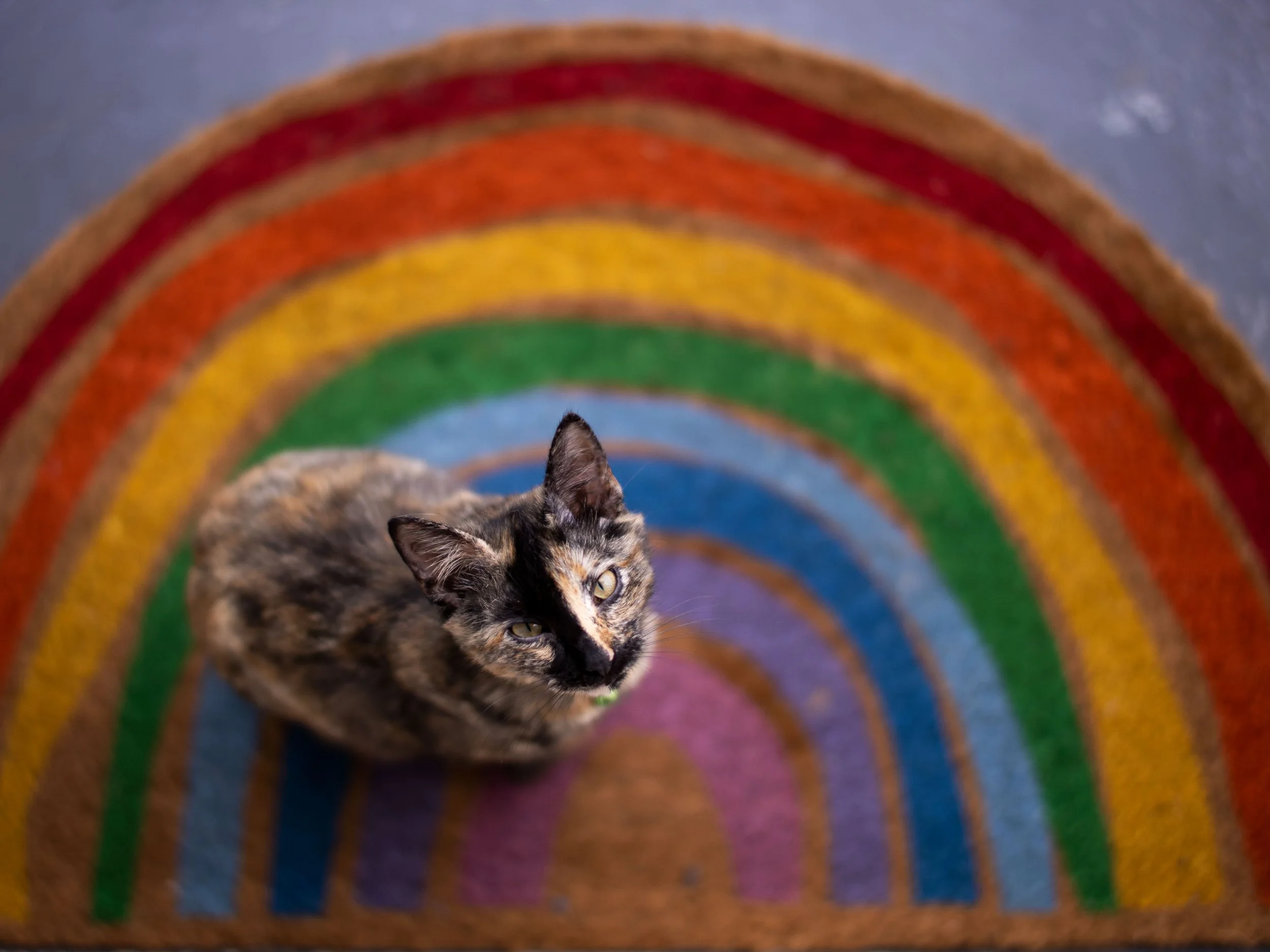 20220324183311032 Birthday.jpg