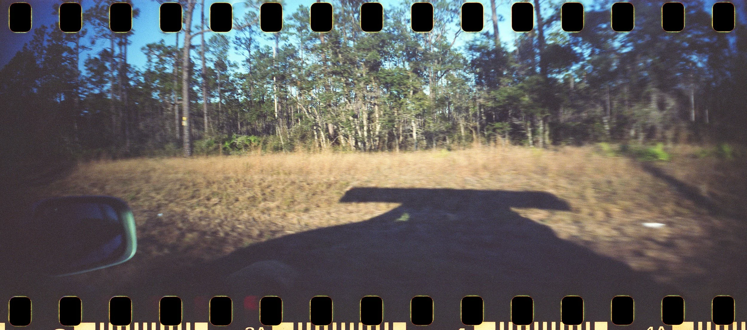 20230204235731058 Shell Mound.jpg