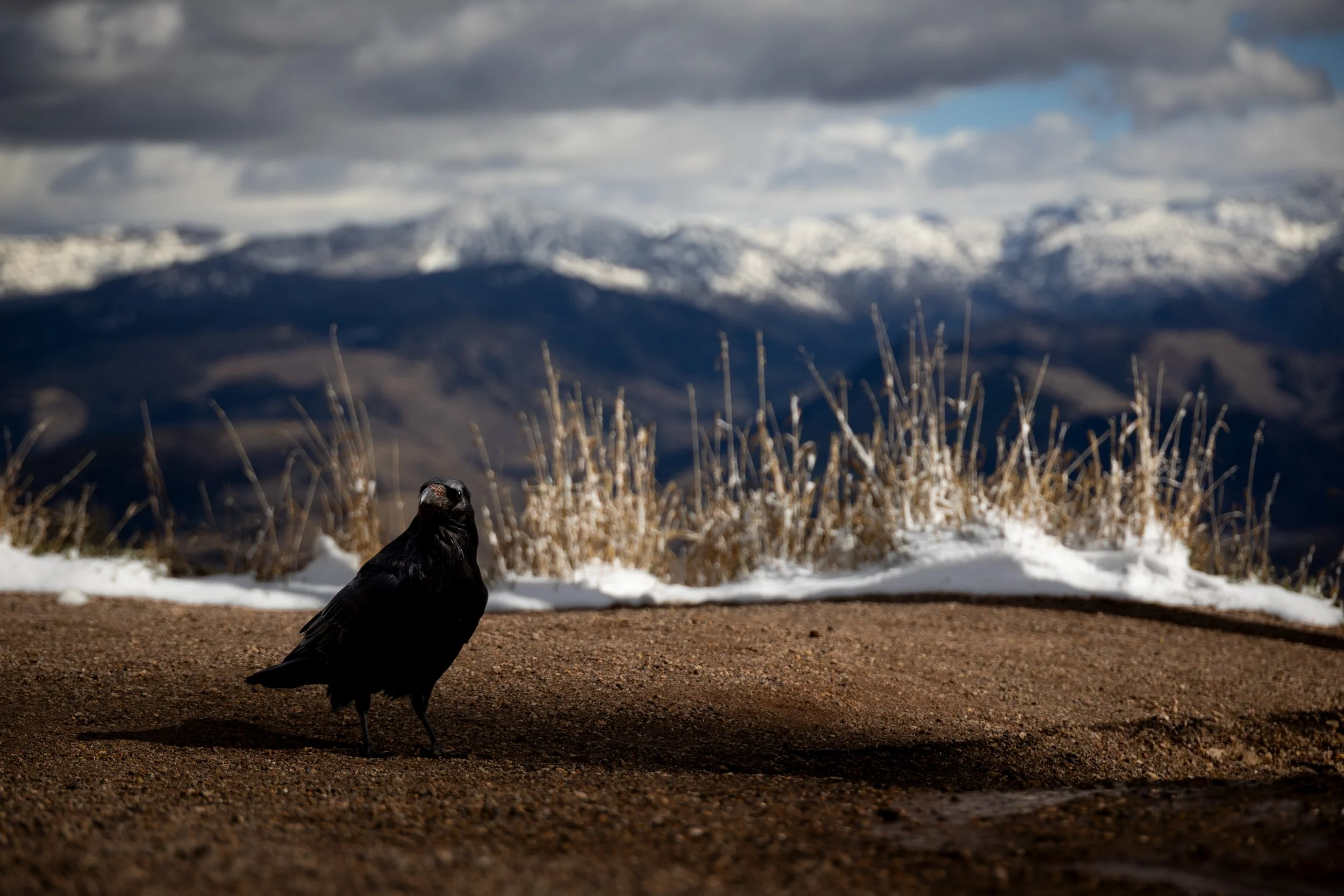 20251020162106011 Teton Pass.jpg