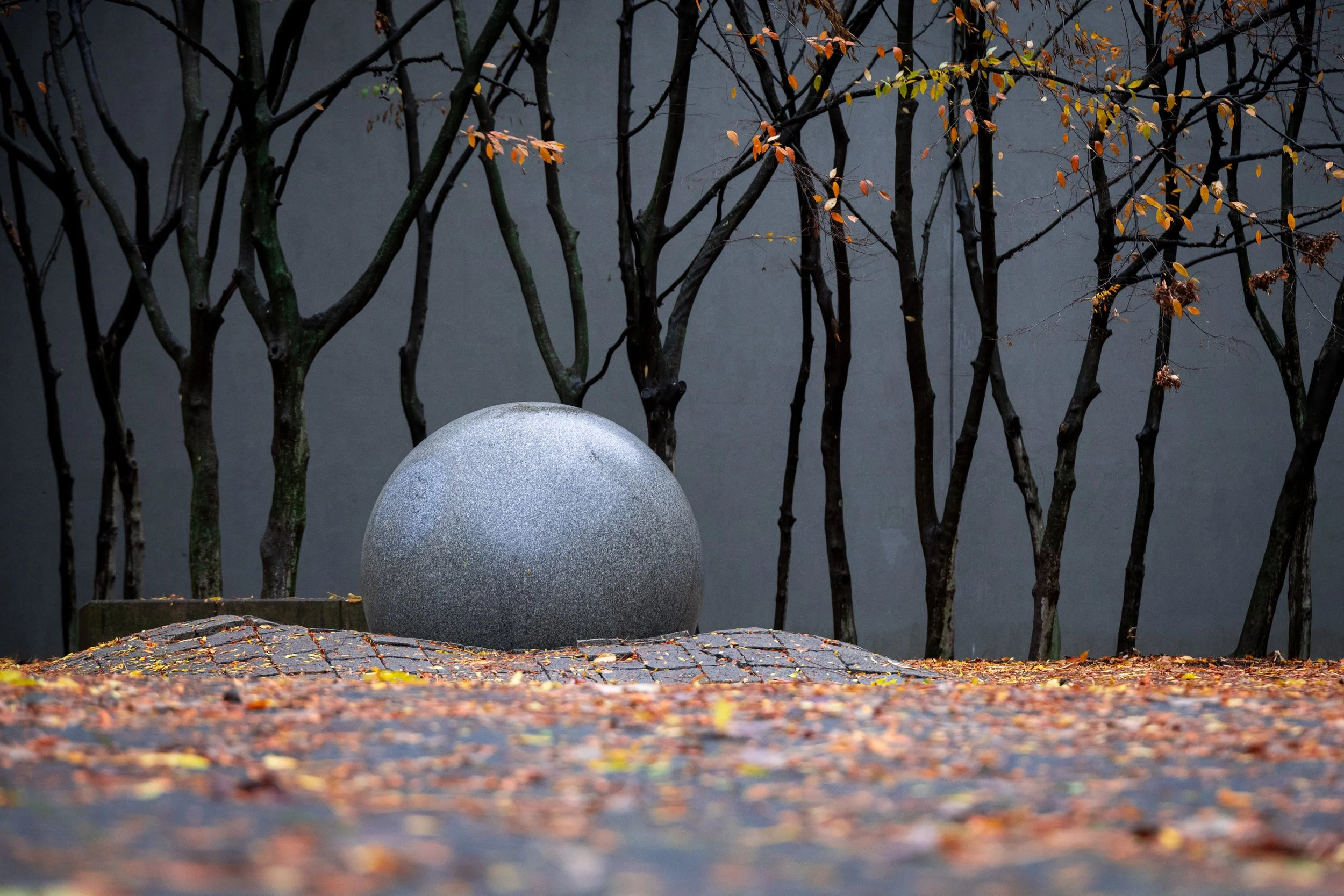 20251109155952101 COSI.jpg