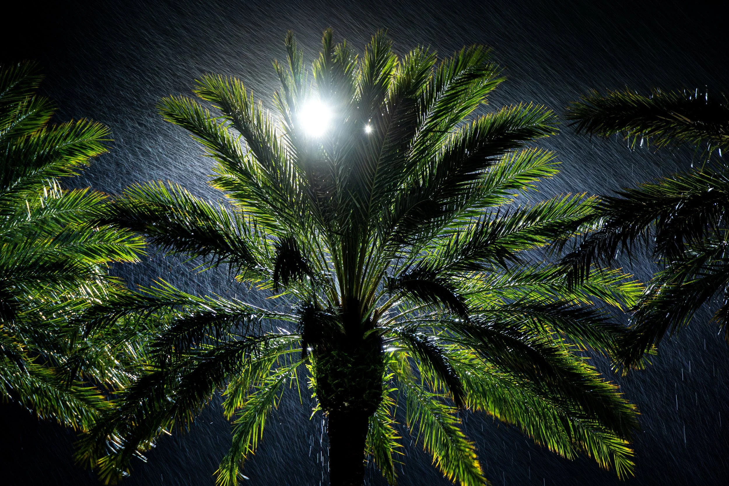 20231216212854073 Mall at Millenia-Enhanced-NR.jpg