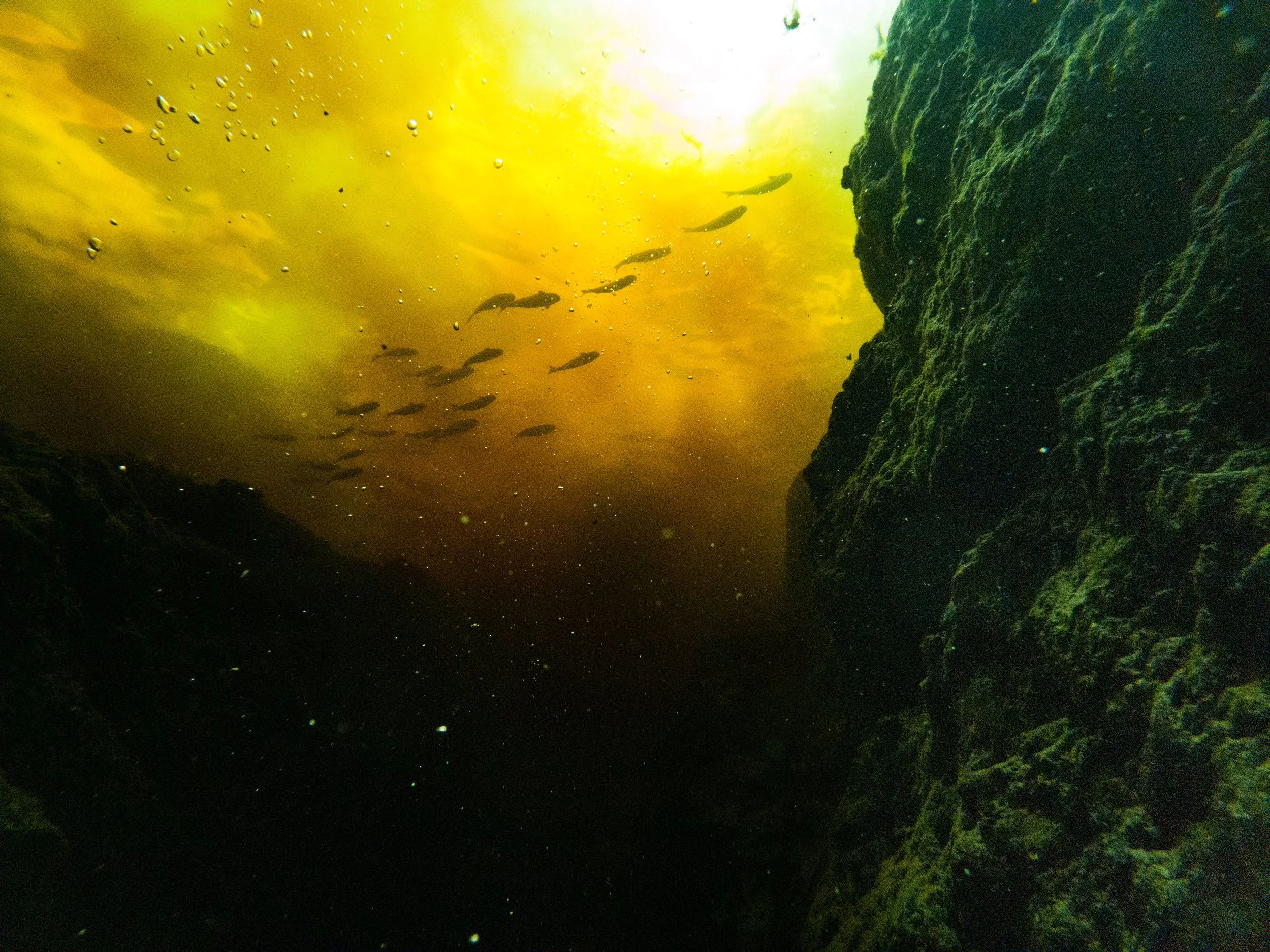 20220724143020070 Devil's Ear.jpg