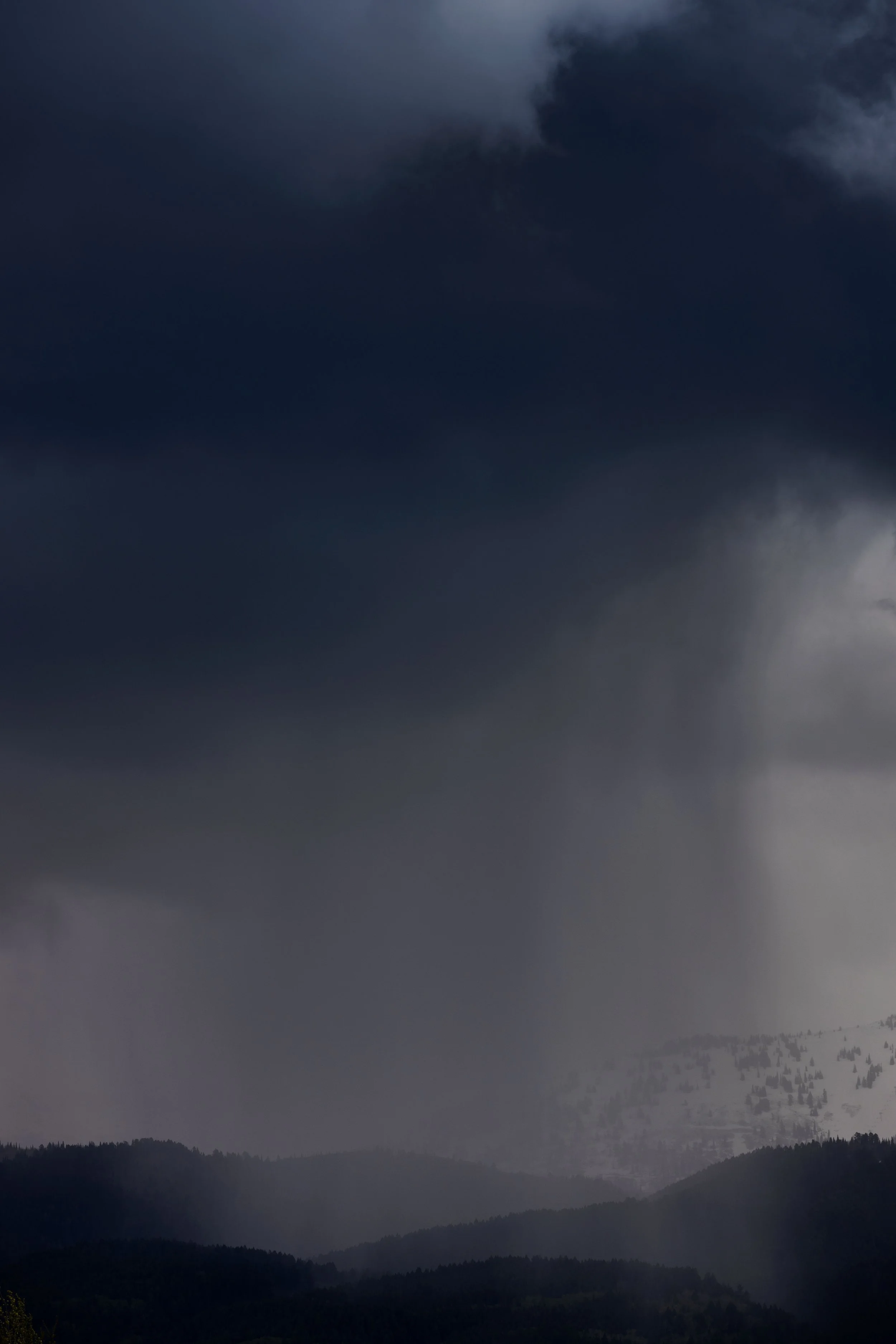 20210526140402433 Targhee.jpg