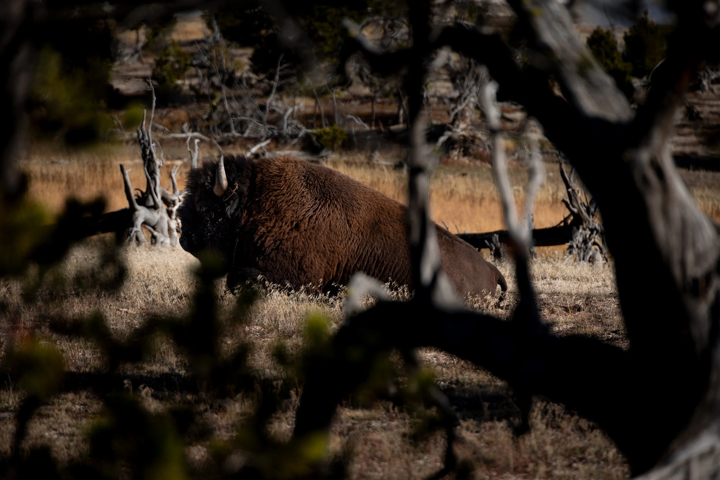 20251021170102445 Fairy Falls Trail.jpg