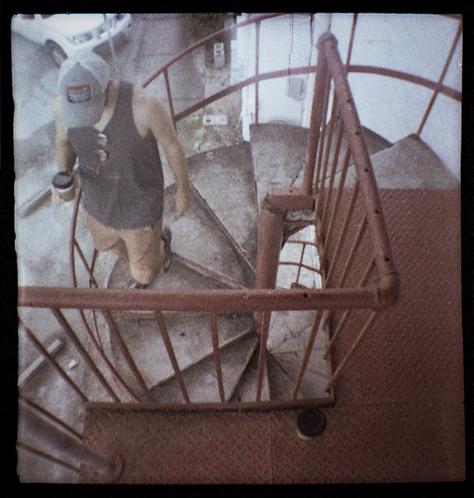 20211001015324007 Winter Garden.jpg