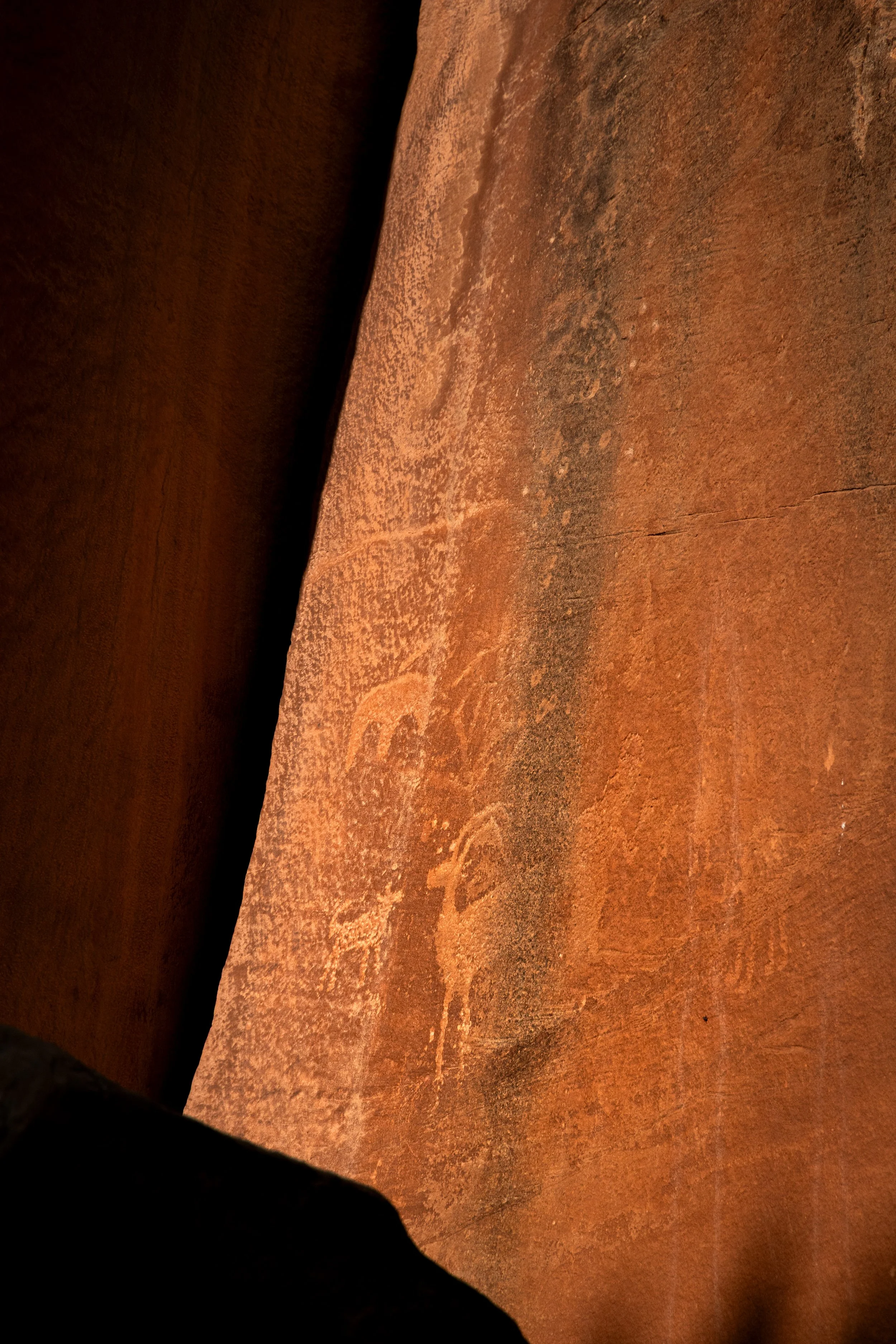 20231012195813305 Capitol Reef.jpg