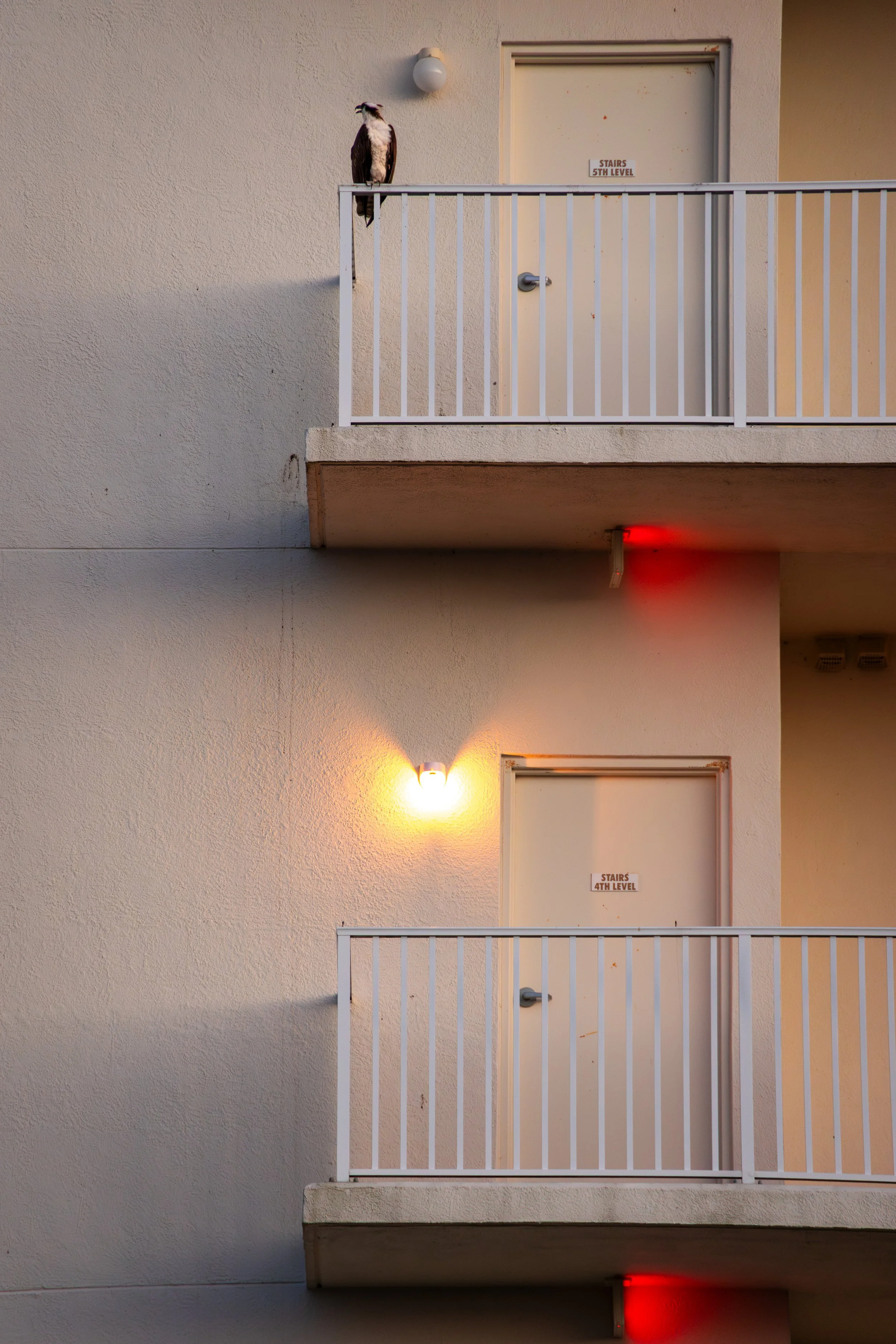 20260310184409014 Max Brewer Bridge.jpg