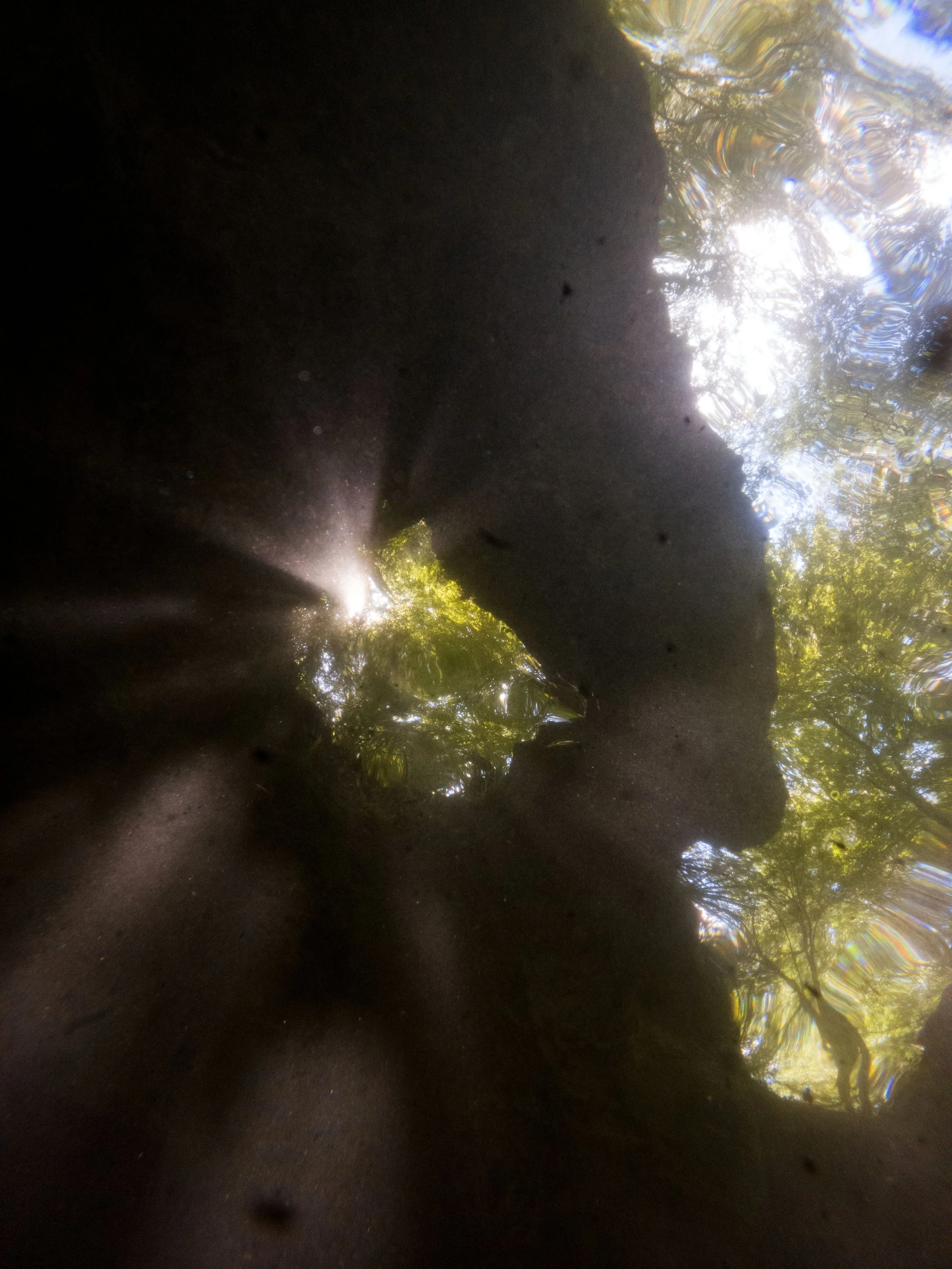 20220723150837248 Ichetucknee River.jpg