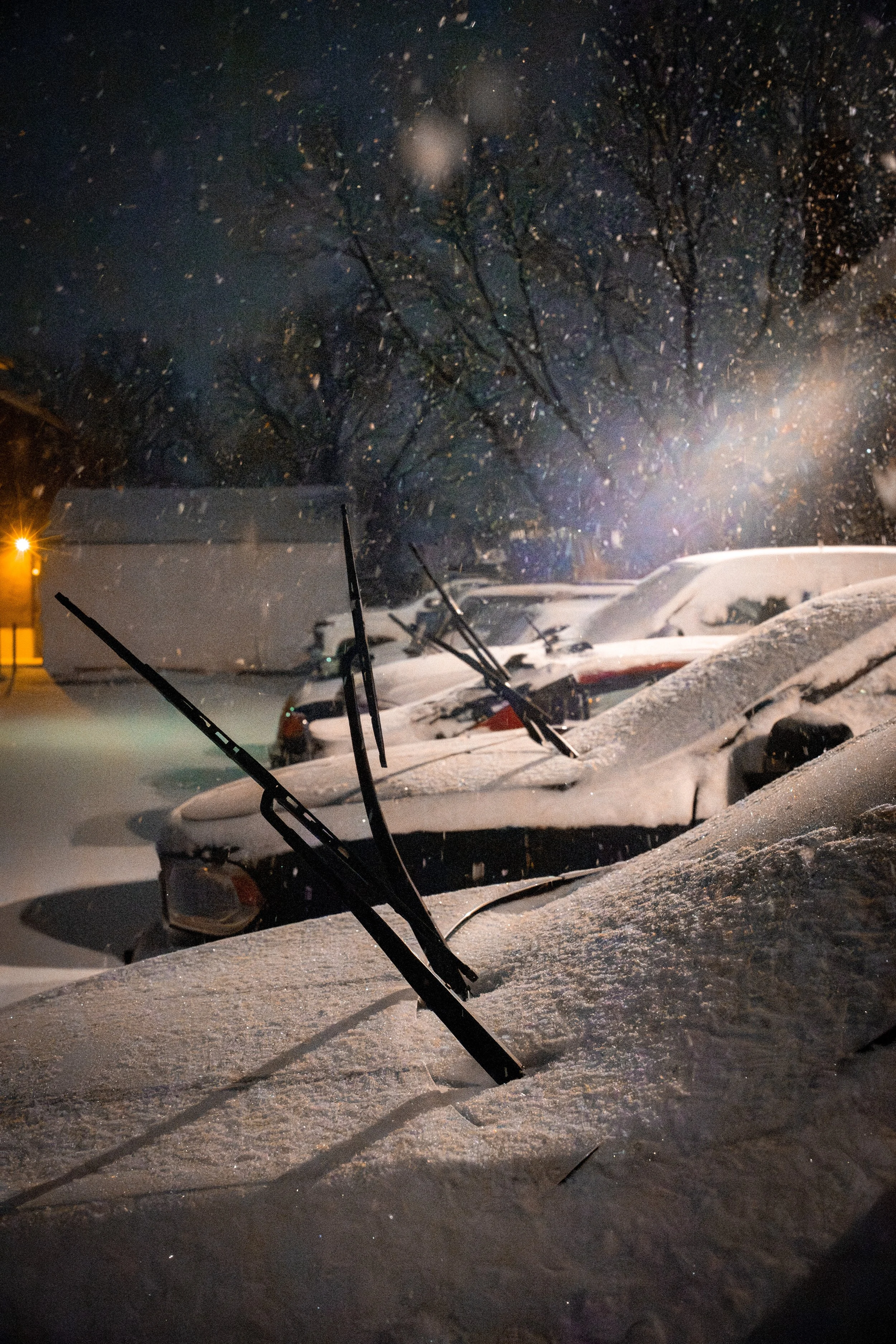 20260125002020070 Deer Park.jpg