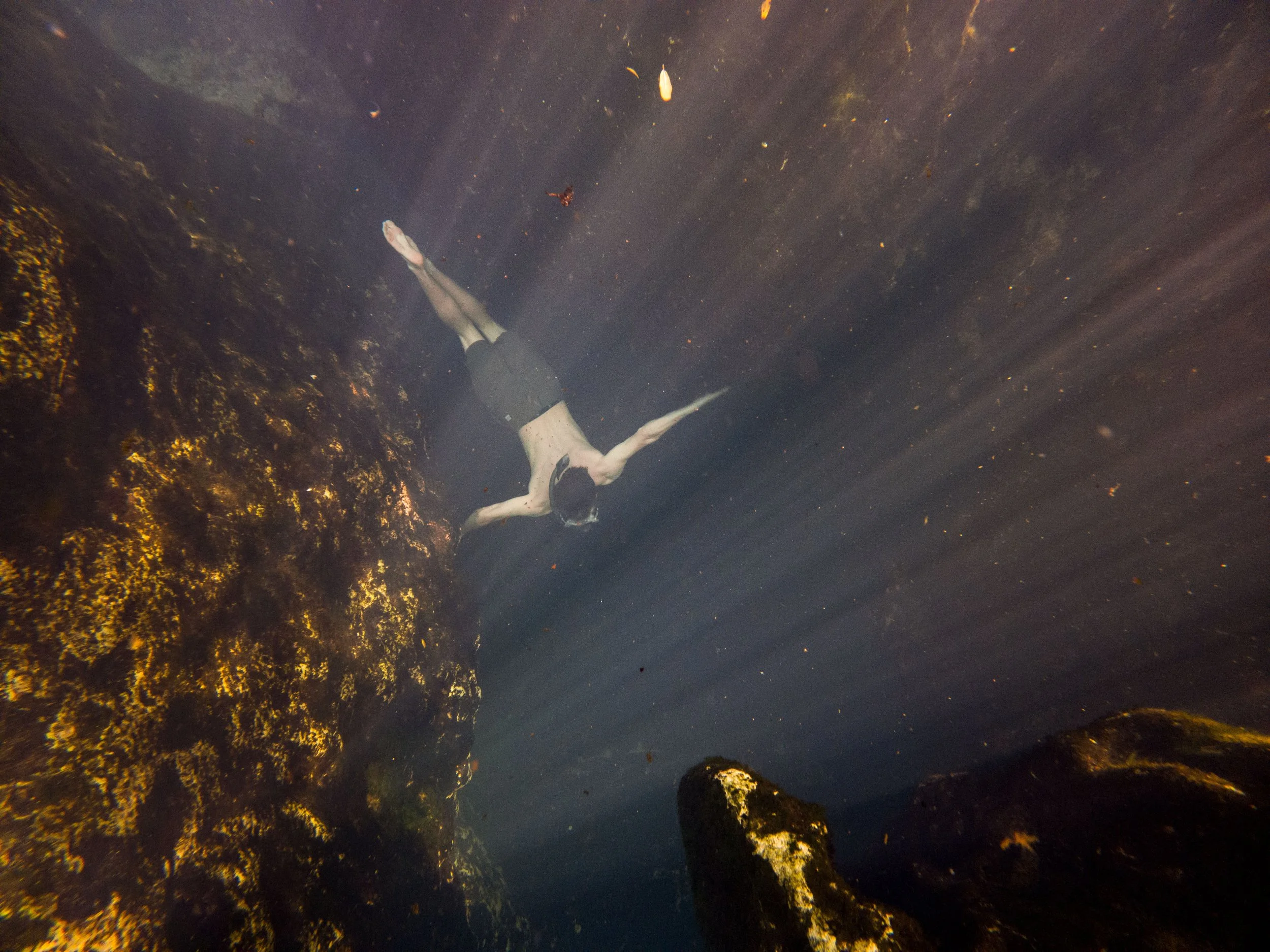 20220221153541010 Wekiwa Springs.jpg