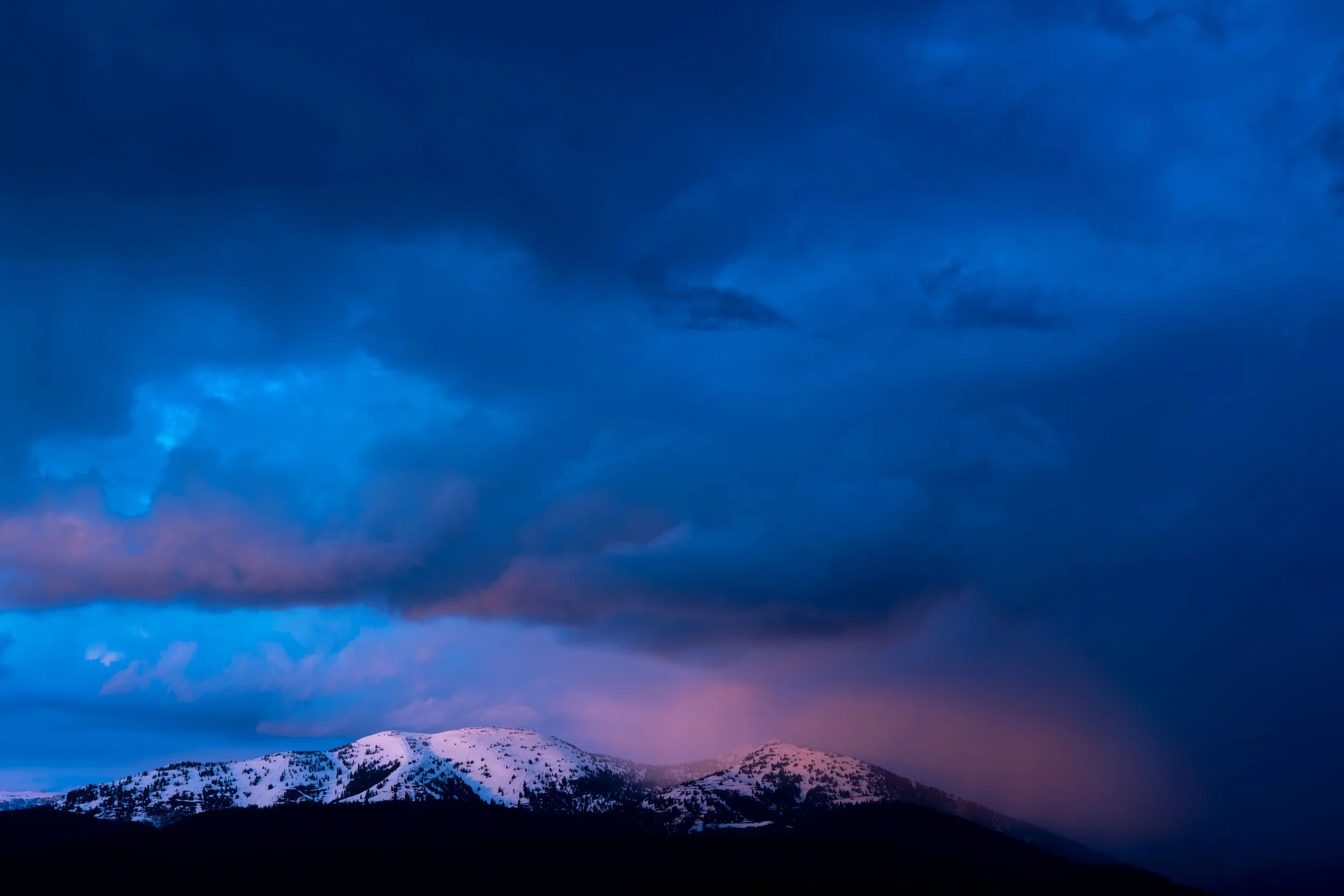 20210526225032512 Targhee.jpg