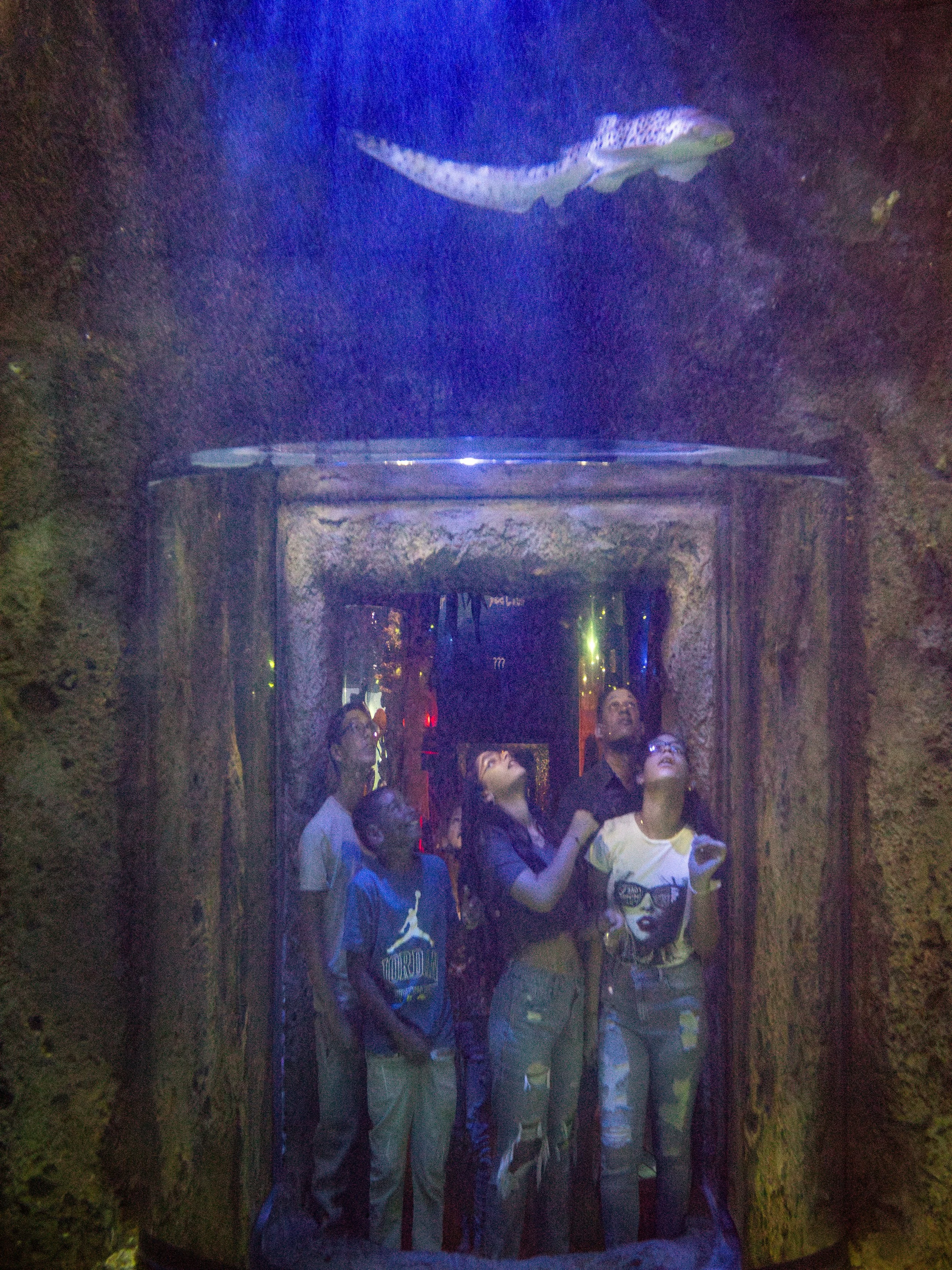 20230819050637224 Sea Life-Enhanced-NR.jpg