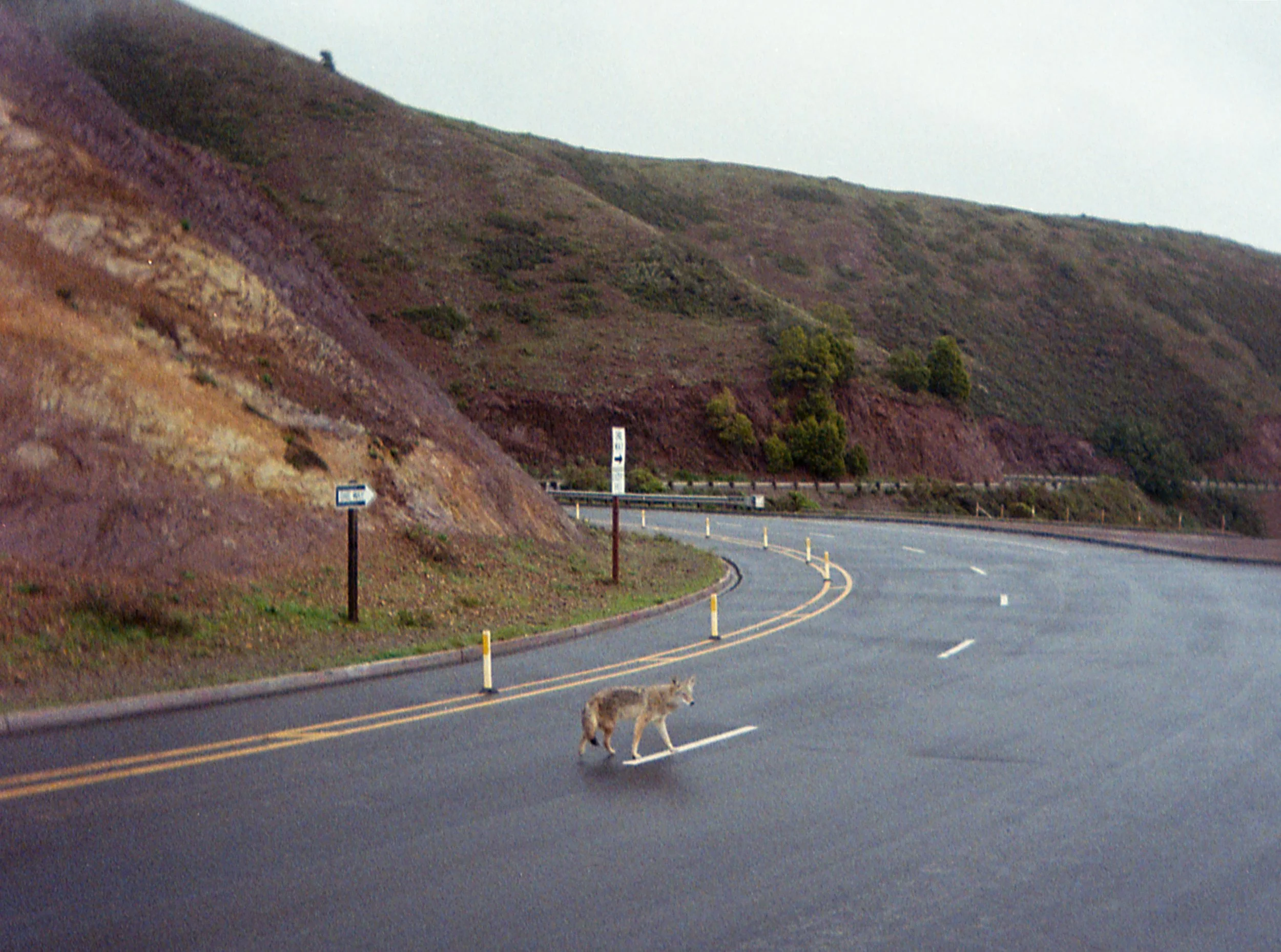 20230203172948001 Golden Gate.jpg