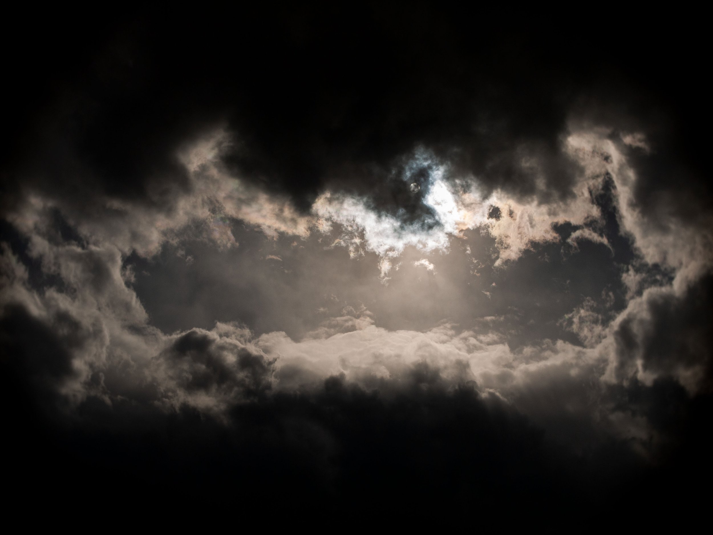 20210525183413237 West.jpg