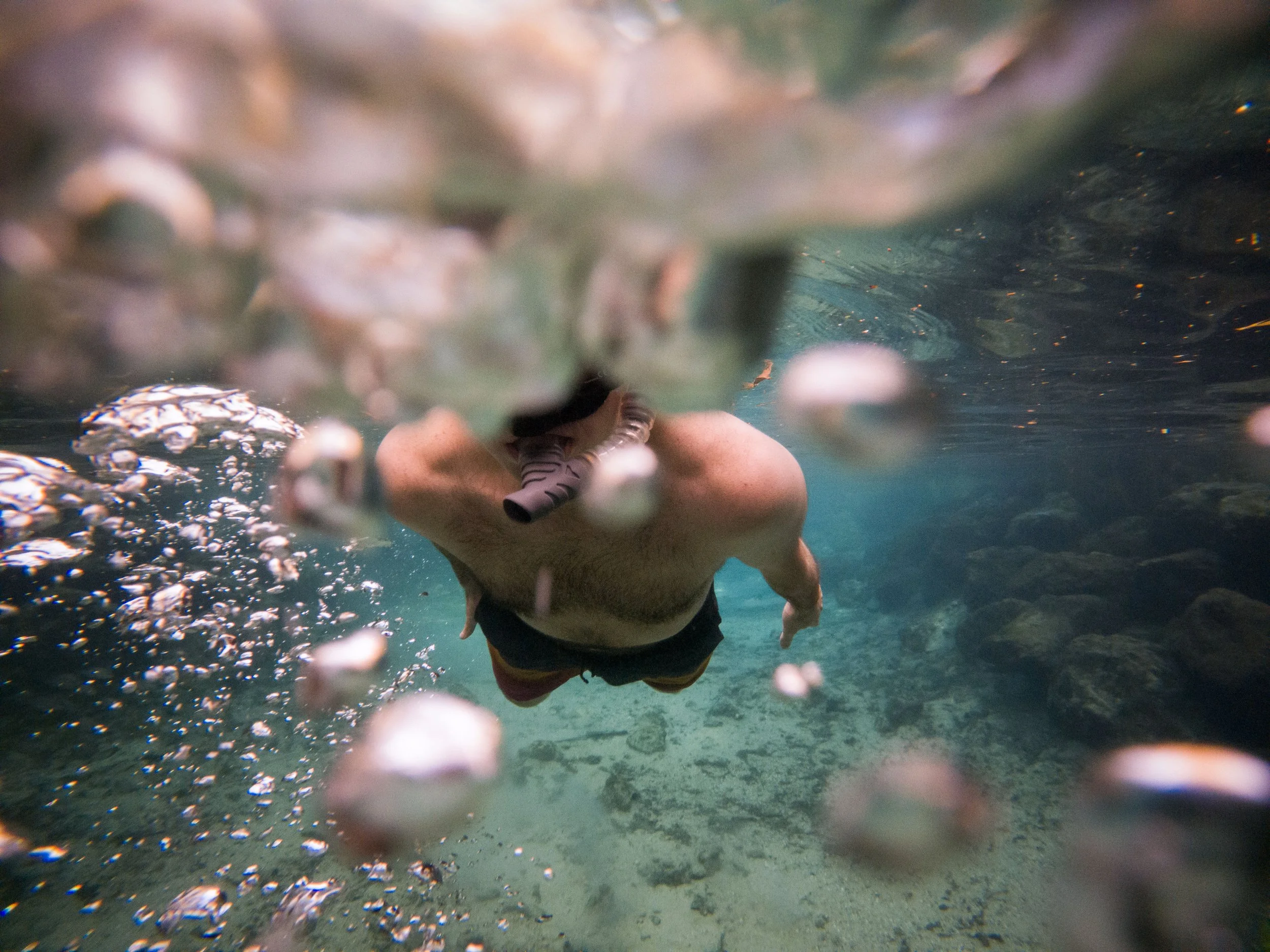 20220307181635340 Three Sisters Spring.jpg